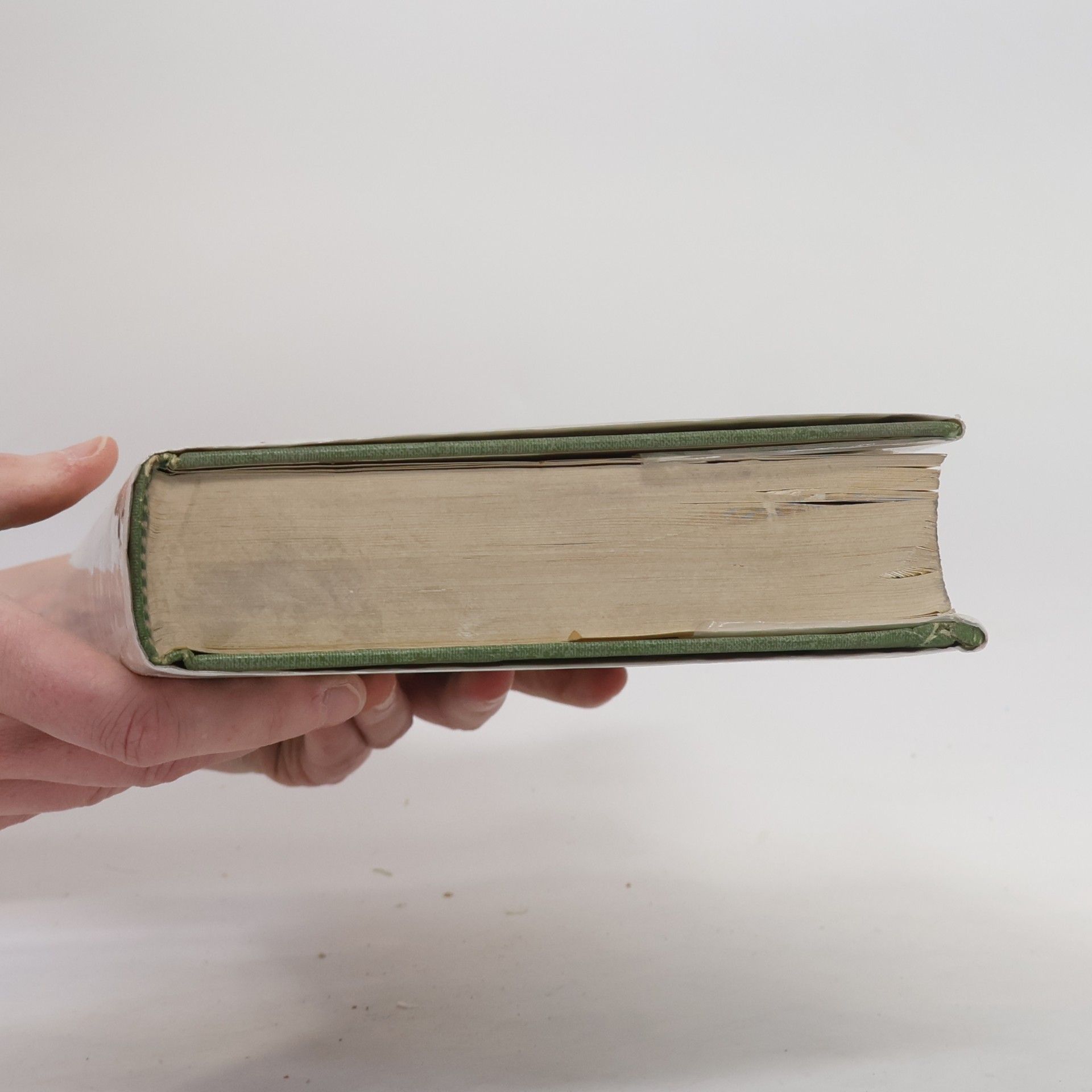 Webster's Sports Dictionary