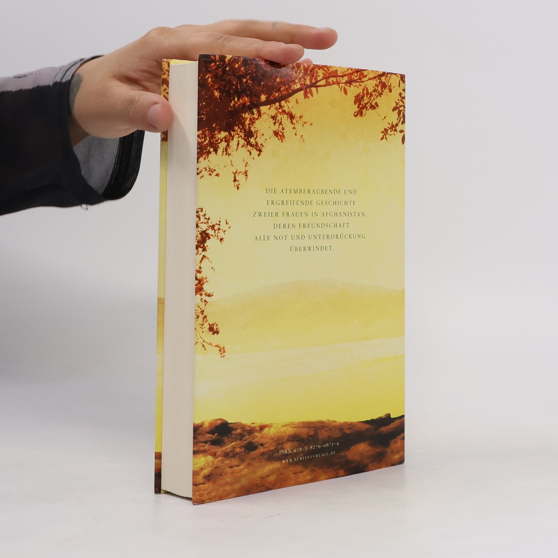 Khaled Hosseini Tausend strahlende Sonnen
