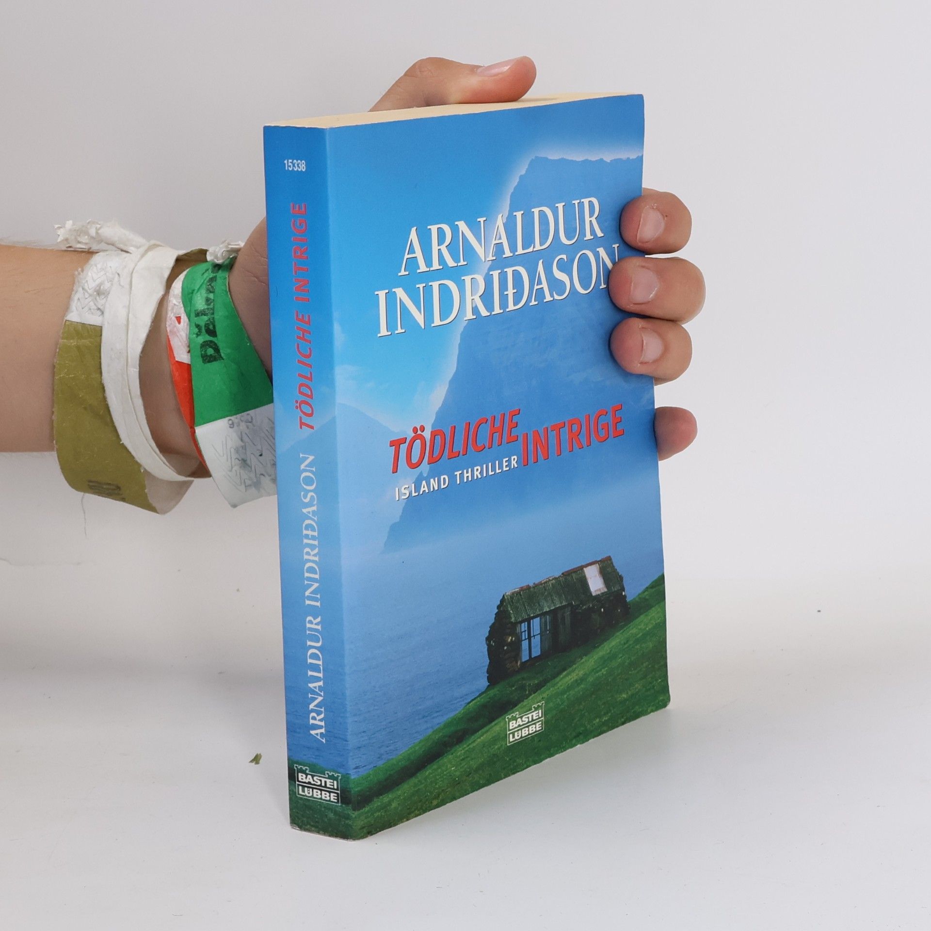 Arnaldur Indridason Tödliche Intrige