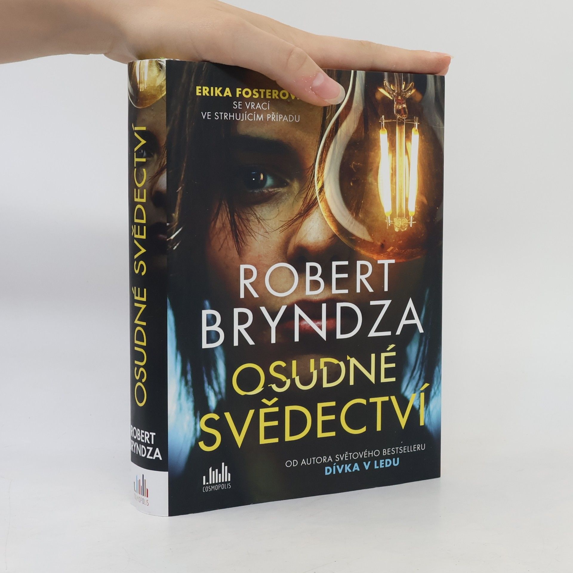 Robert Bryndza Osudné svědectví