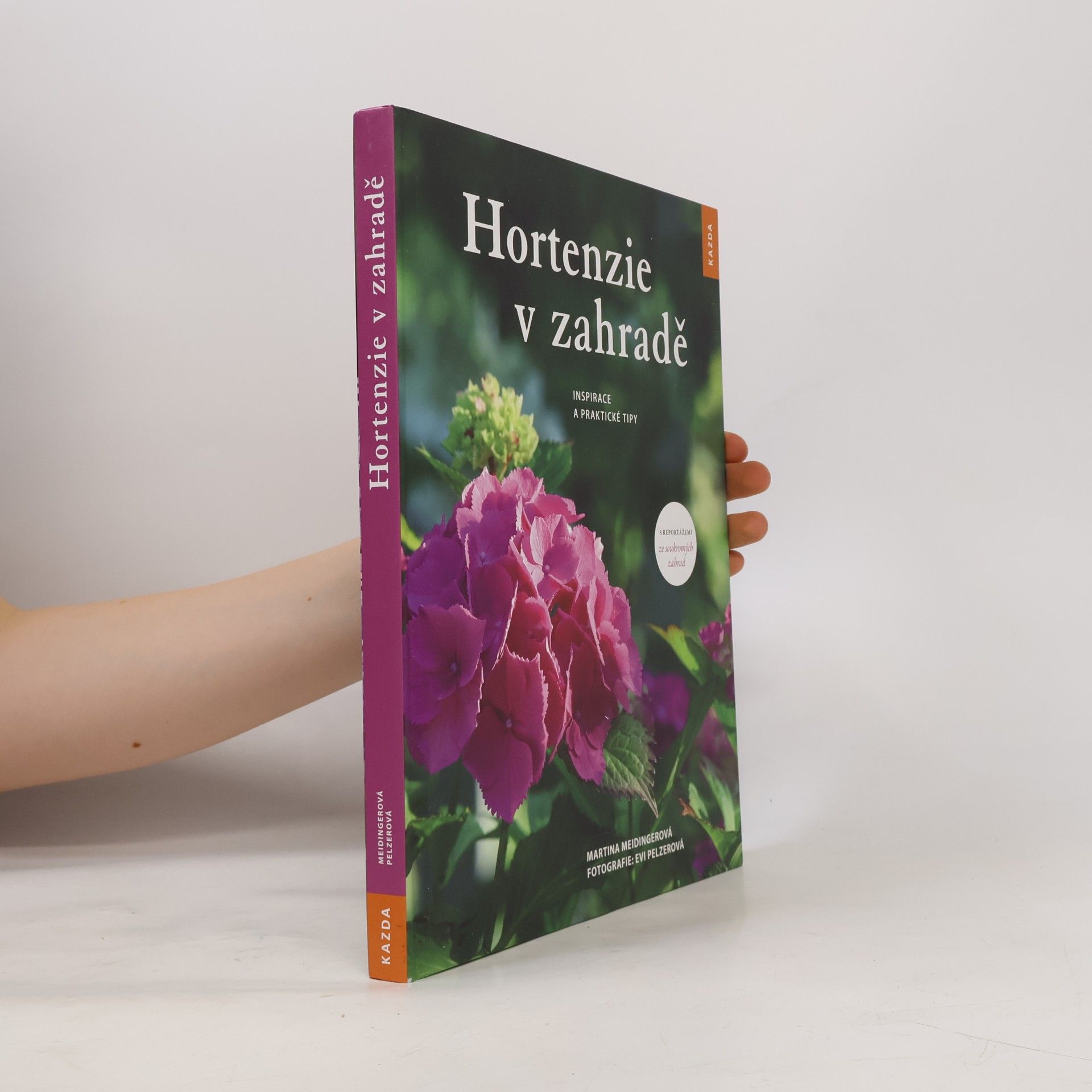 Martina Meidinger Hortenzie v zahradě
