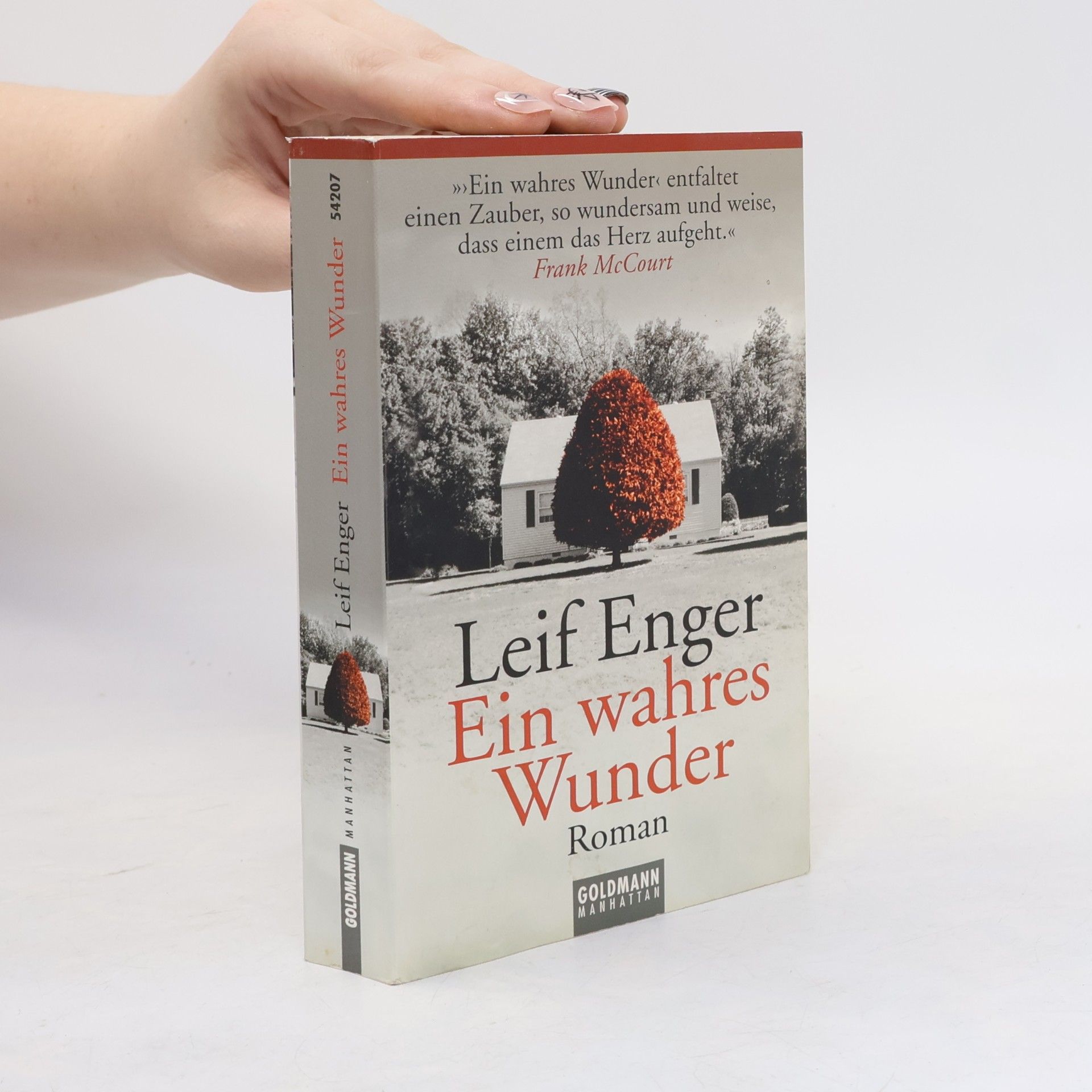 Leif Enger Ein wahres Wunder