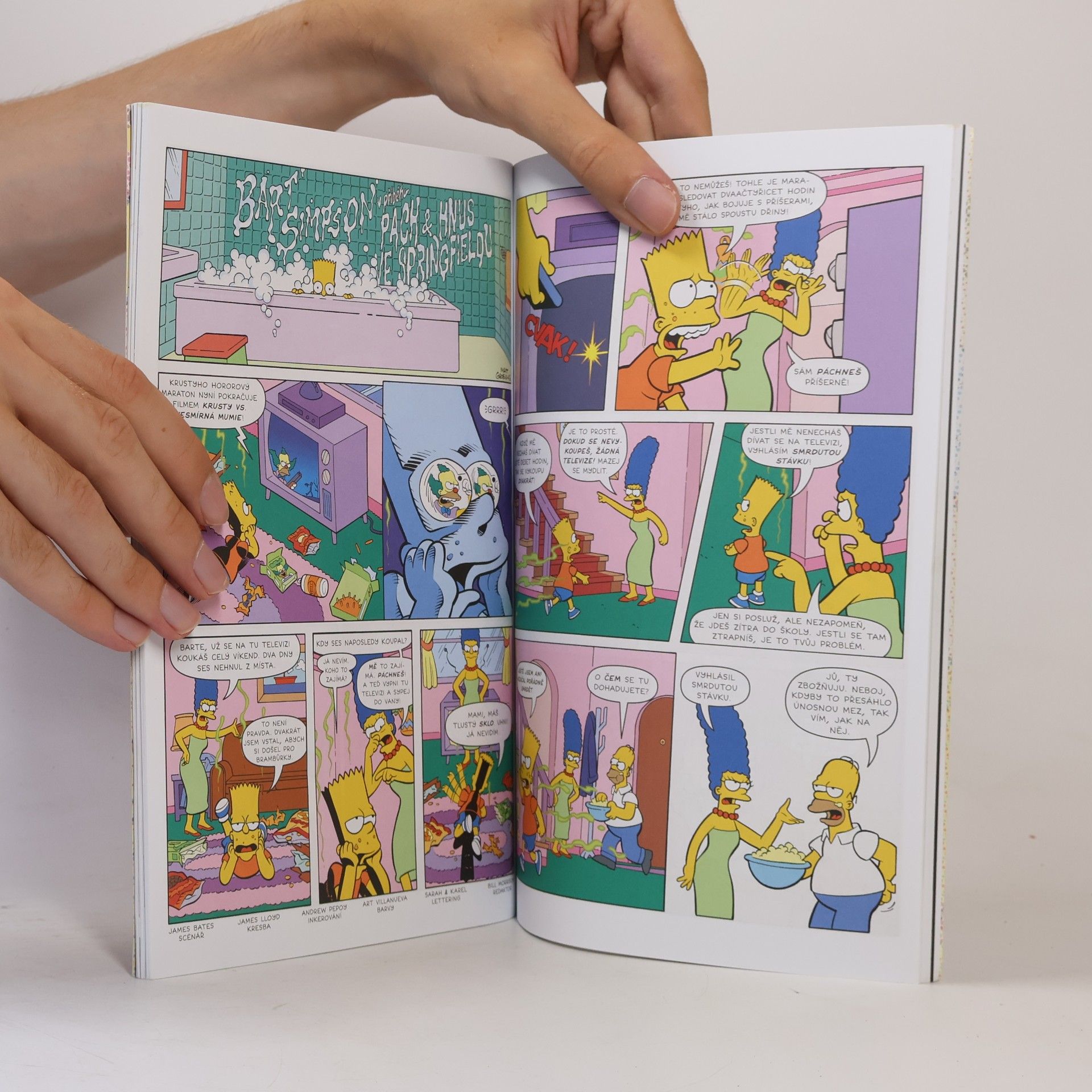 Matt Groening Velká vymazlená kniha Barta Simpsona