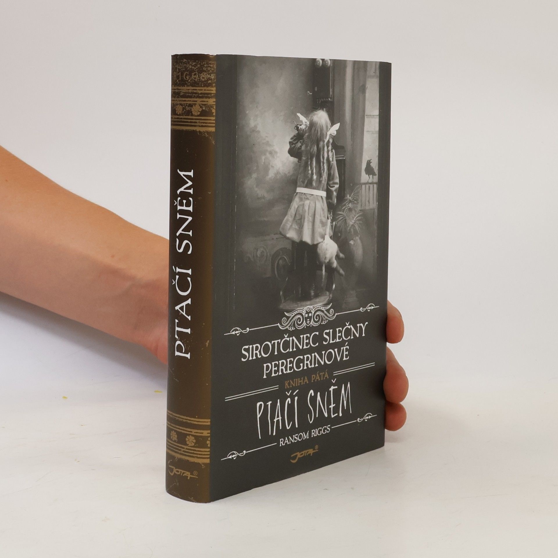 Ransom Riggs Ptačí sněm