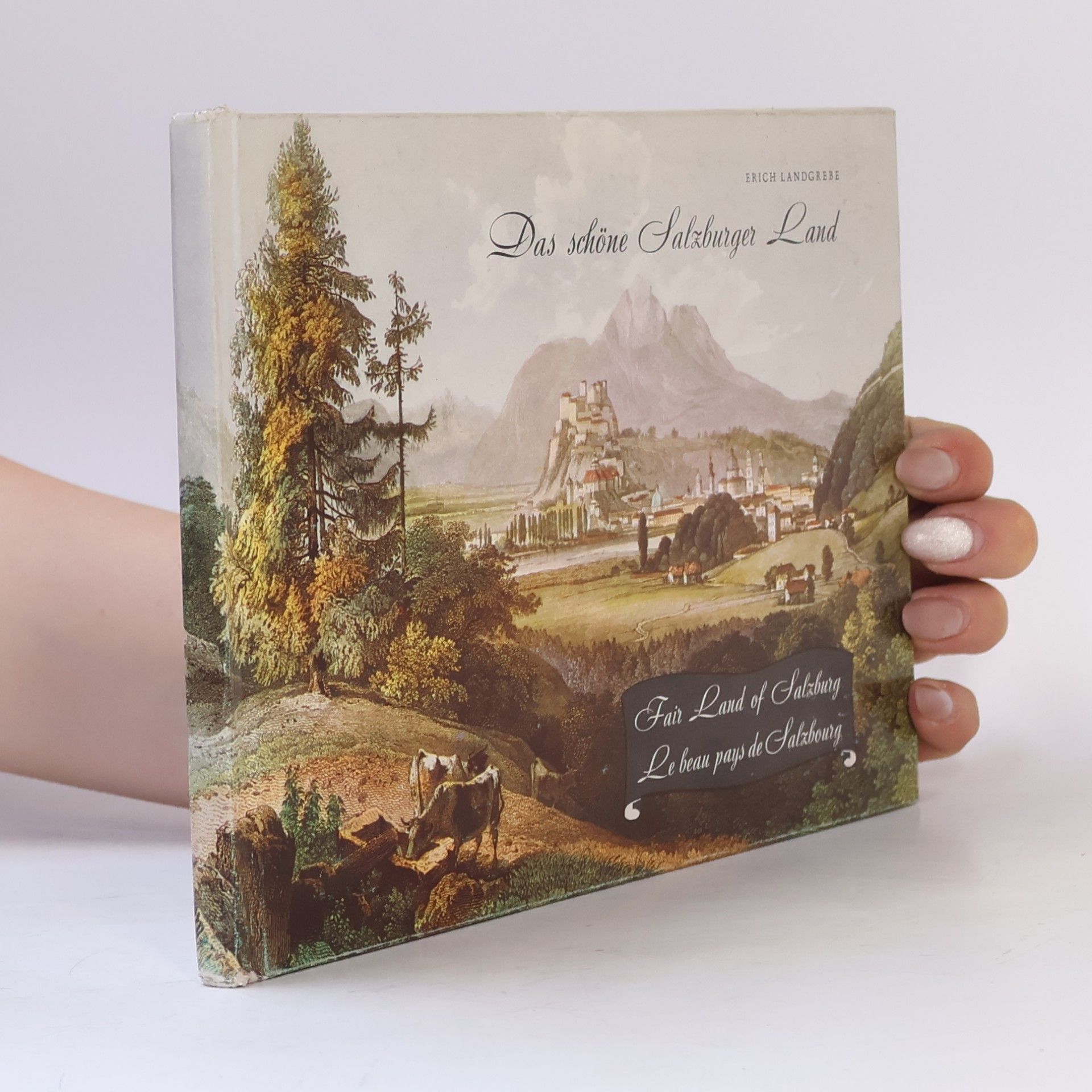 Erich Landgrebe Das schöne Salzburger Land