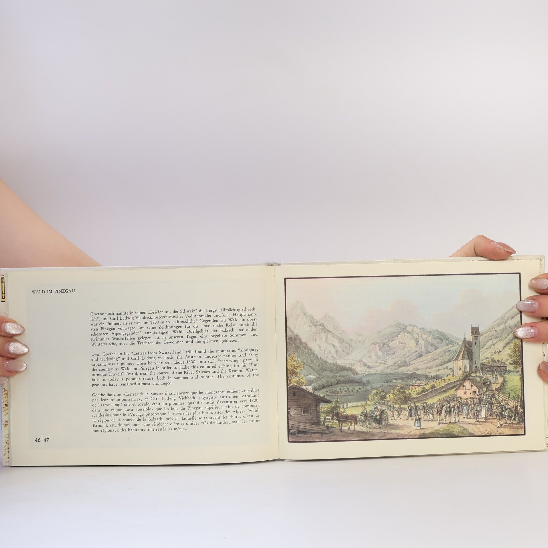 Erich Landgrebe Das schöne Salzburger Land