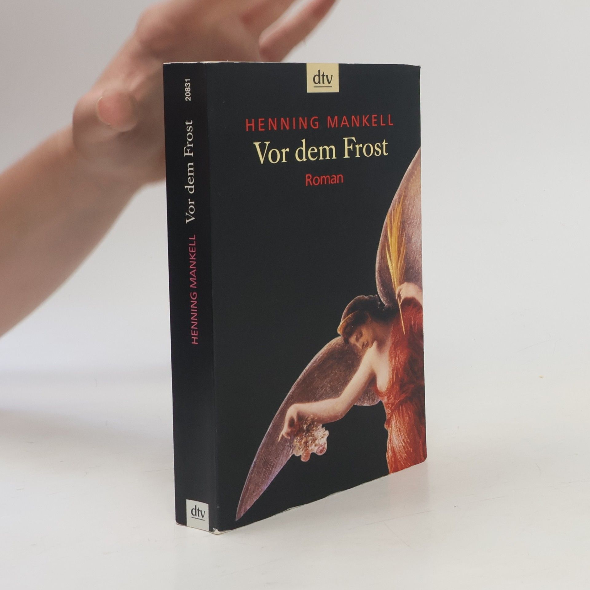 Henning Mankell Vor dem Frost