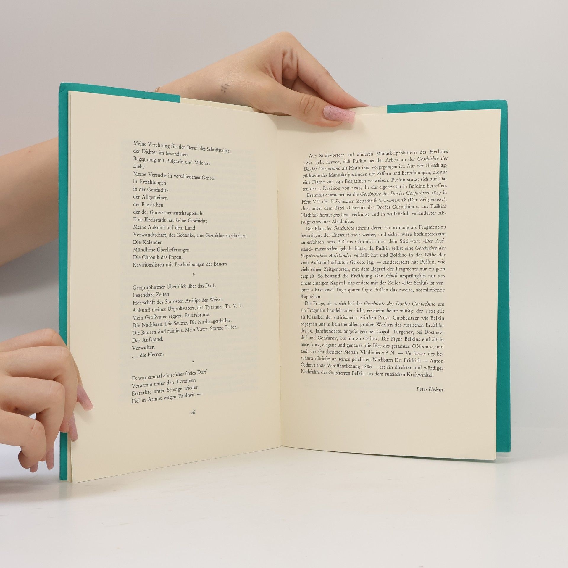 Alexander Pushkin Die Geschichte des Dorfes Gorjuchino