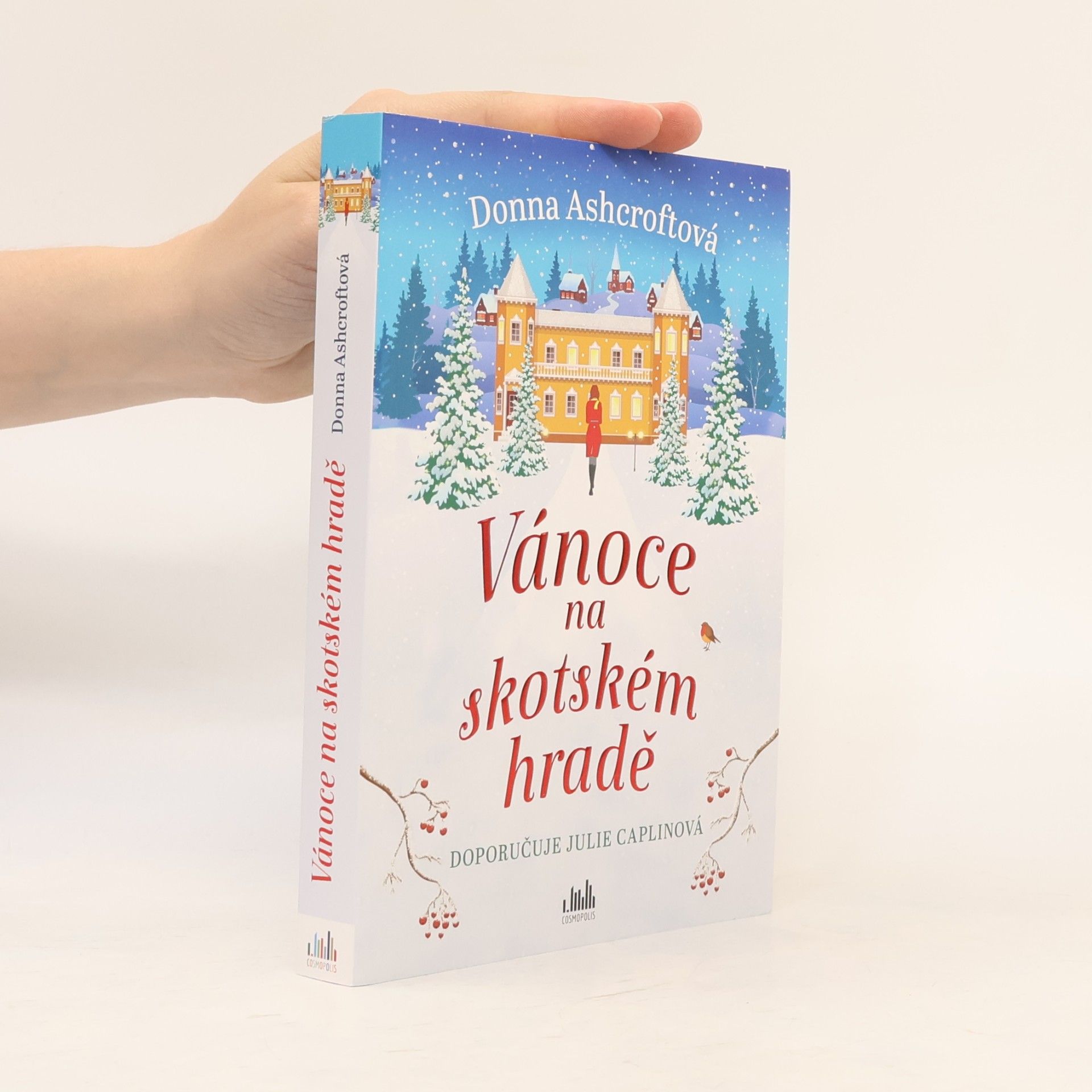 Donna Ashcroft Vánoce na skotském hradě