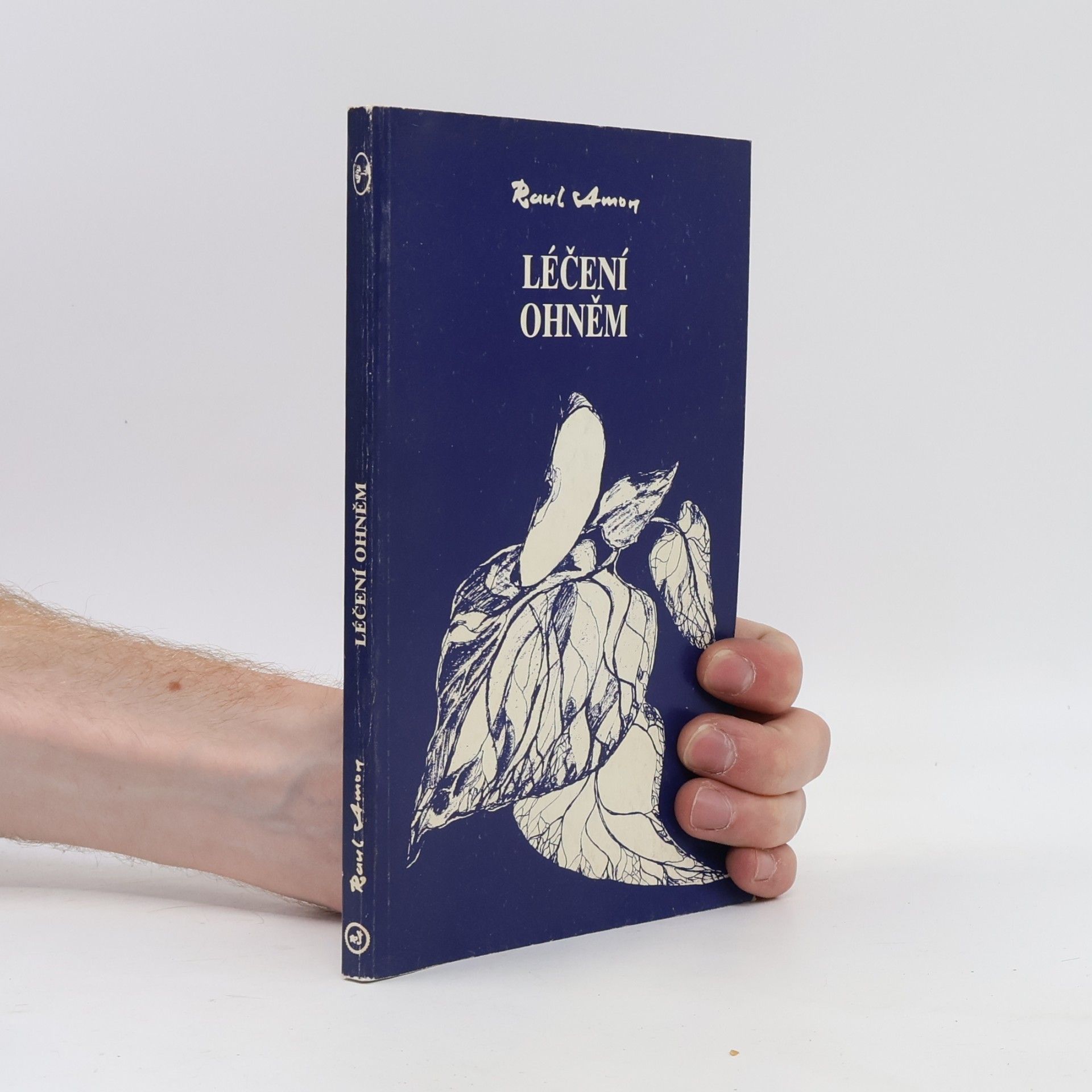 Raul Amon Léčení ohněm