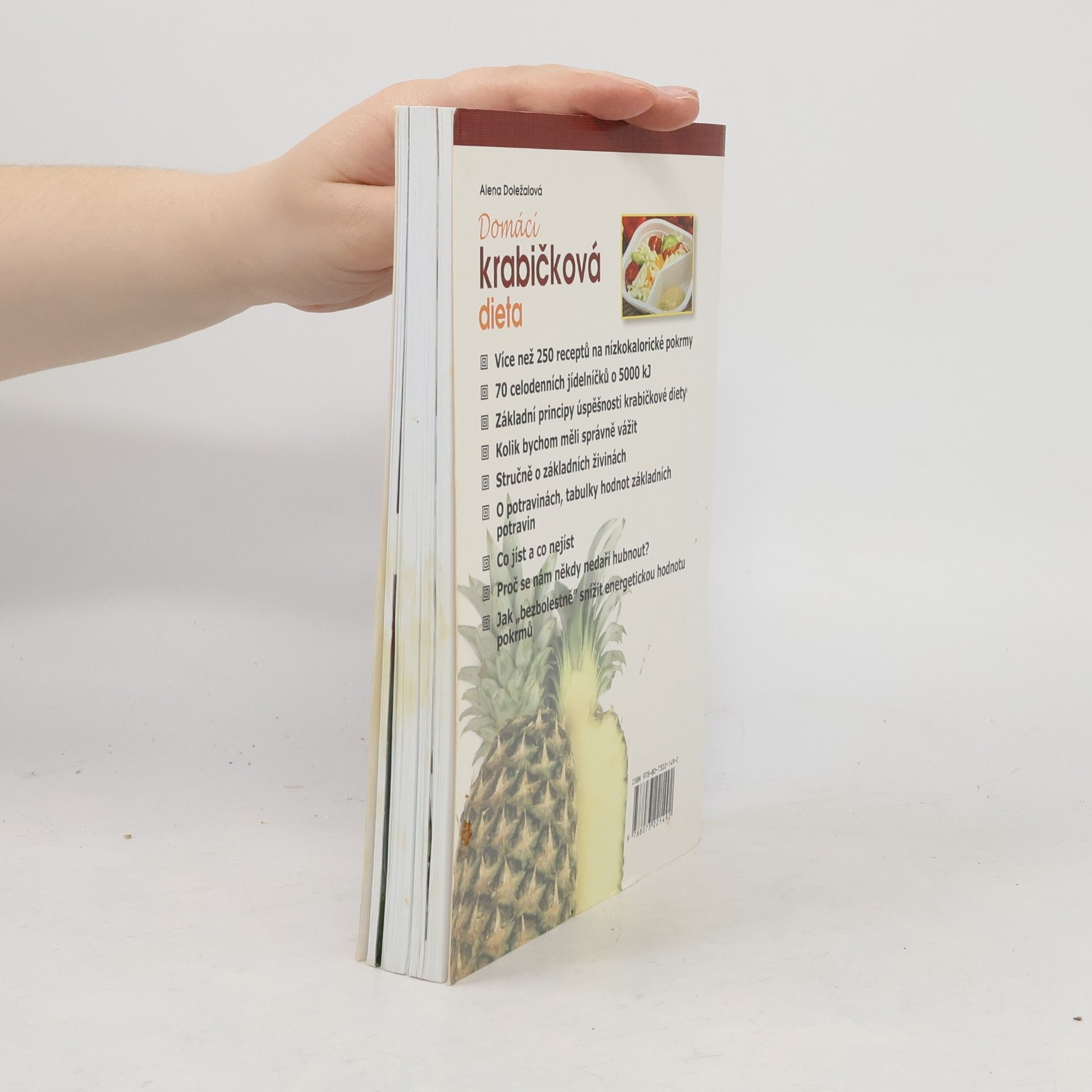 Alena Doležalová Domácí krabičková dieta