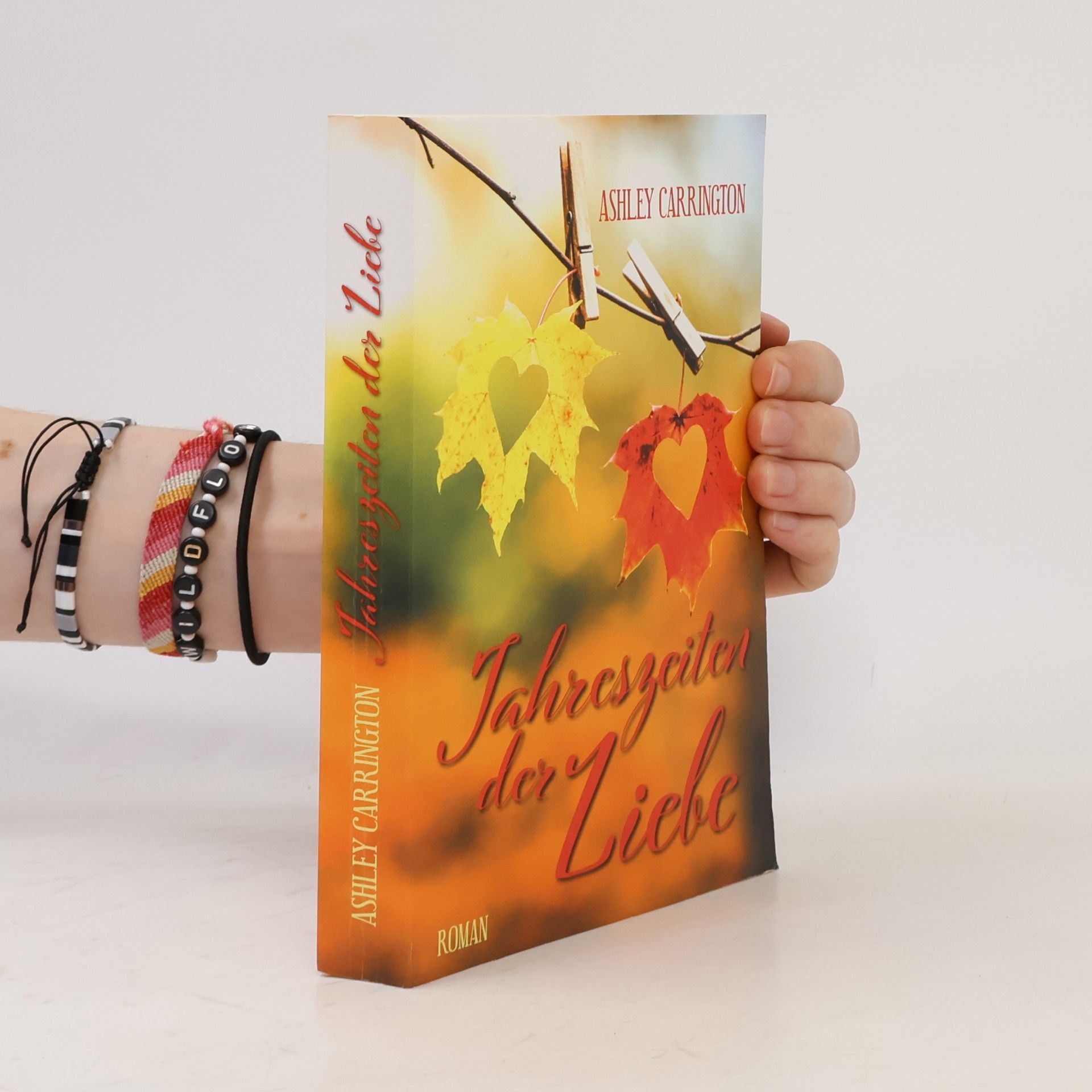 Rainer Maria Schröder Jahreszeiten der Liebe : Roman