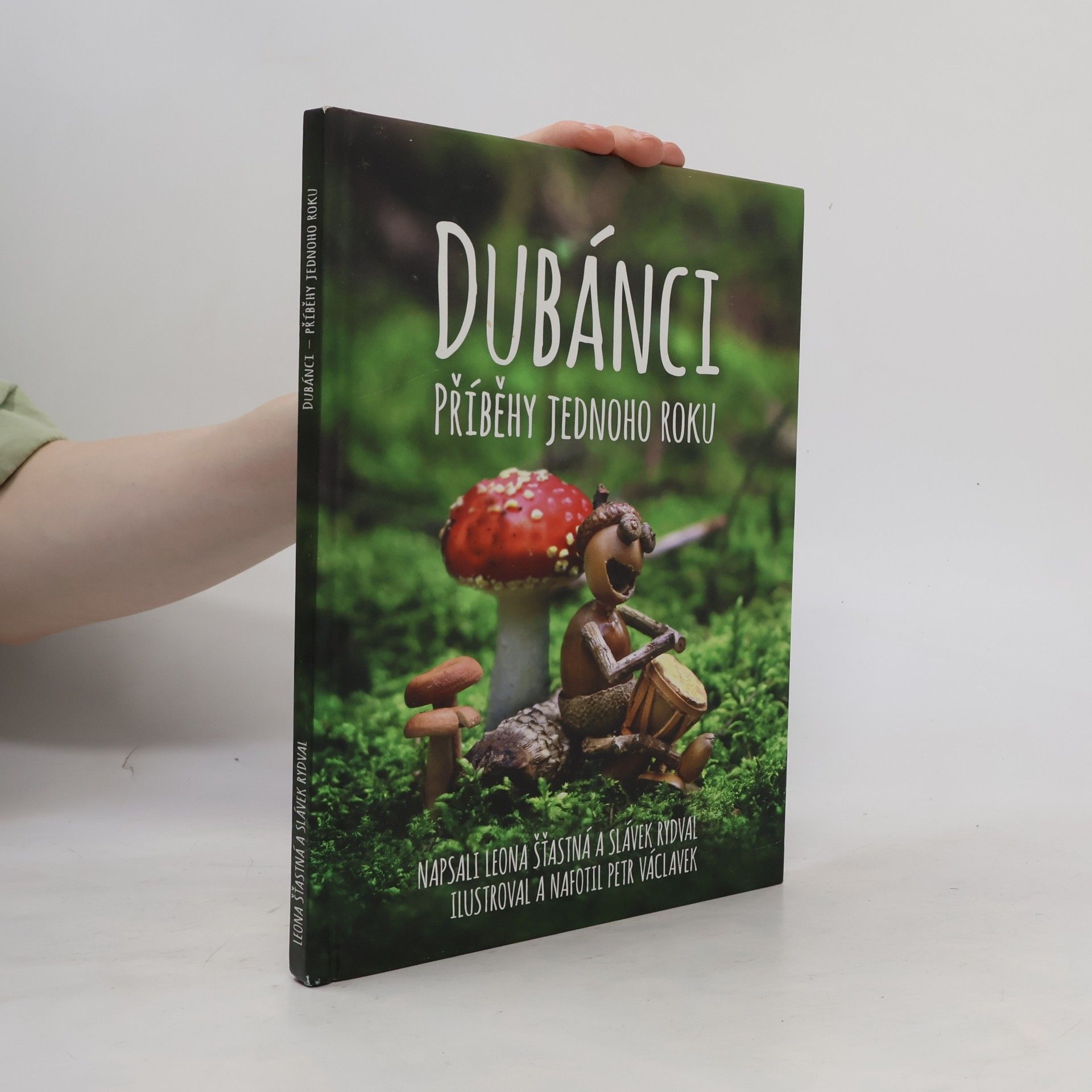 Slávek Rydval Dubánci: Příběhy jednoho roku
