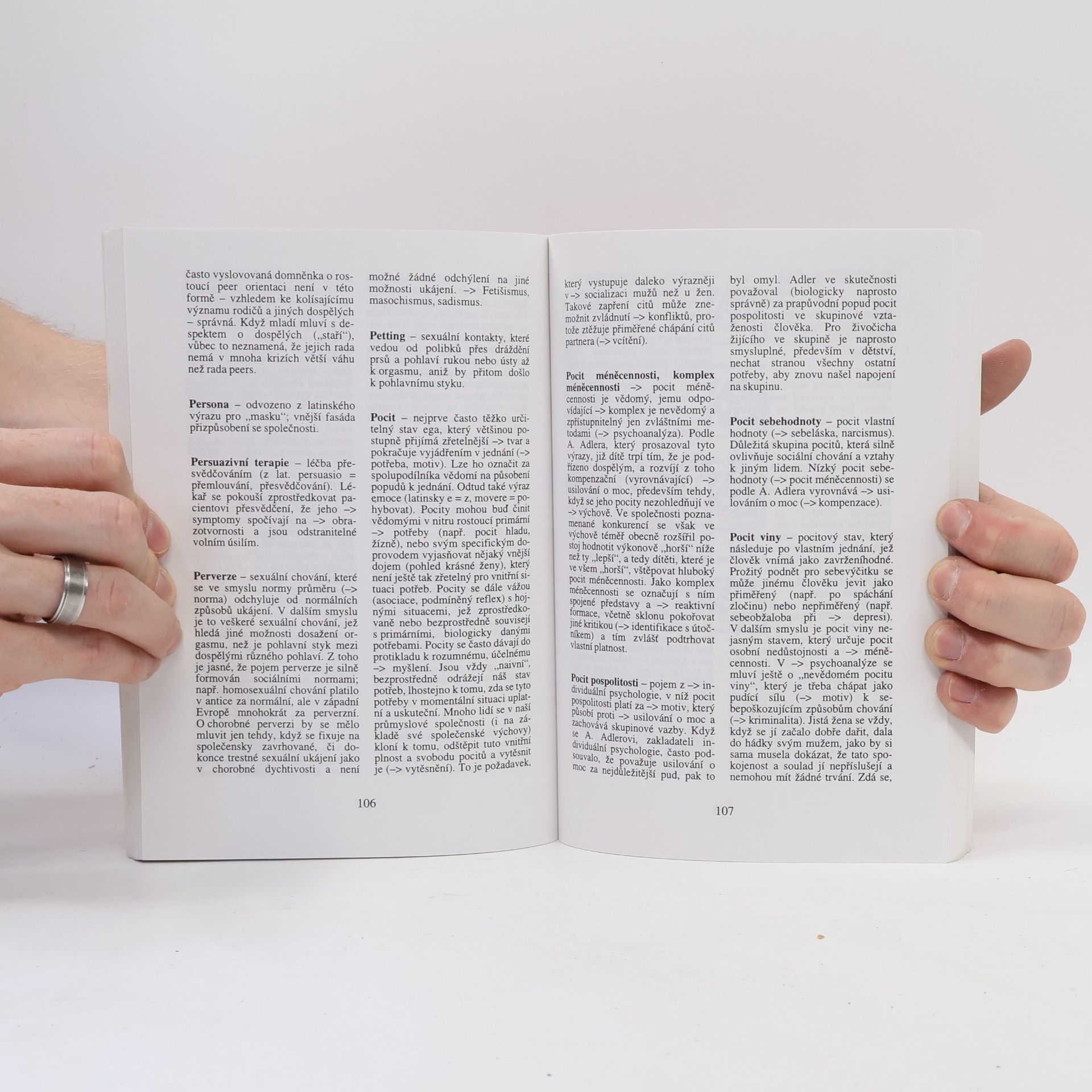 Wolfgang Schmidbauer Psychologie - Lexikon základních pojmů