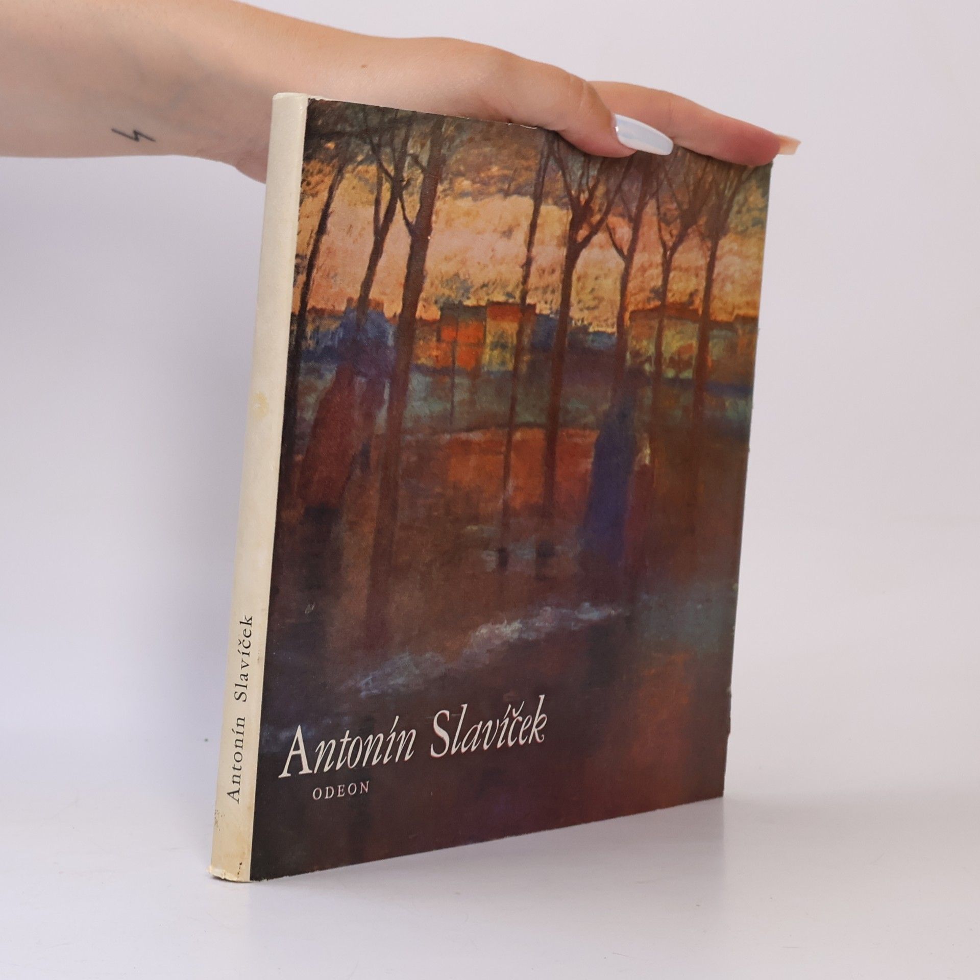 Jan Marius Tomeš Antonín Slavíček