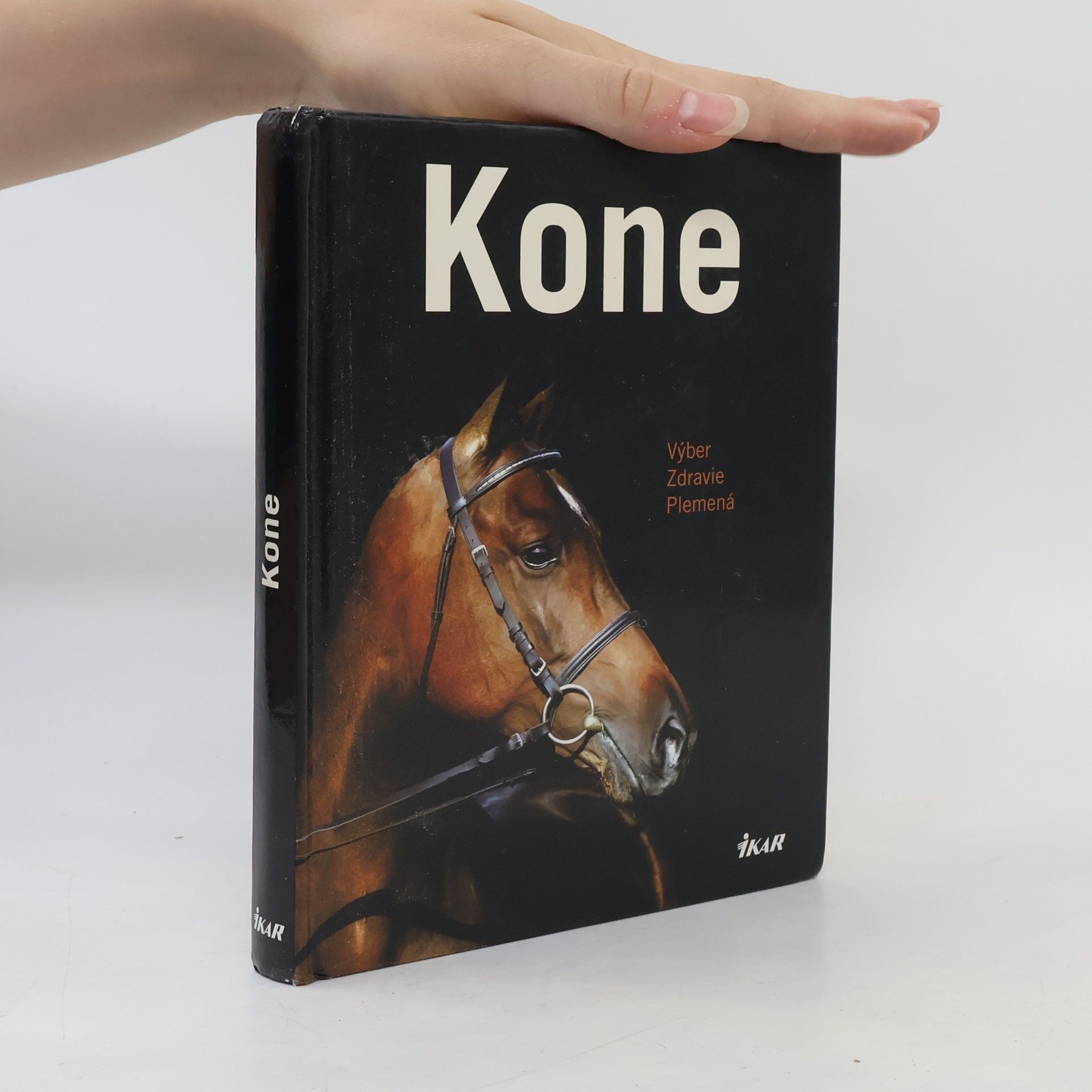 Saskia Brixner Kone