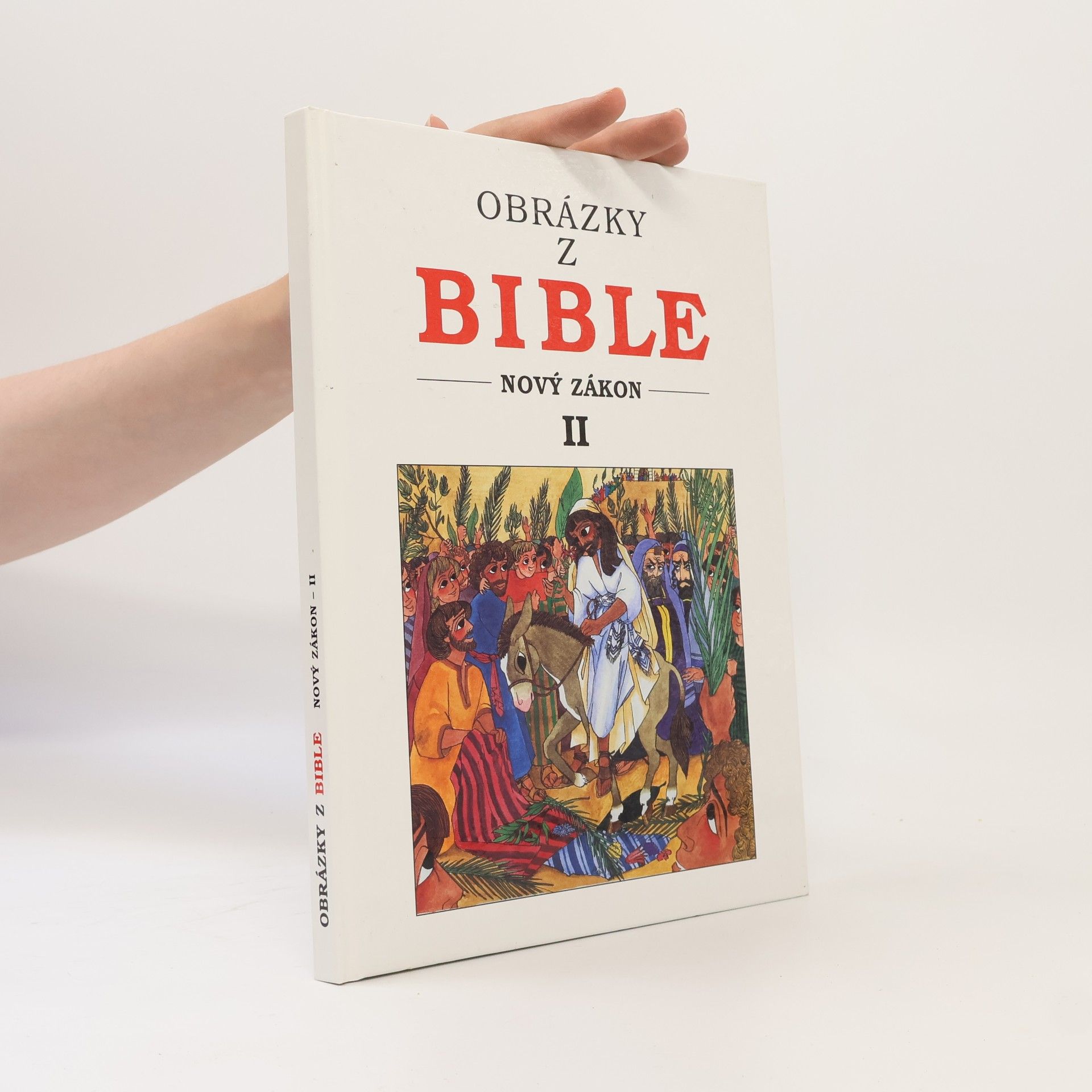Collectif d'auteurs Obrázky z Bible