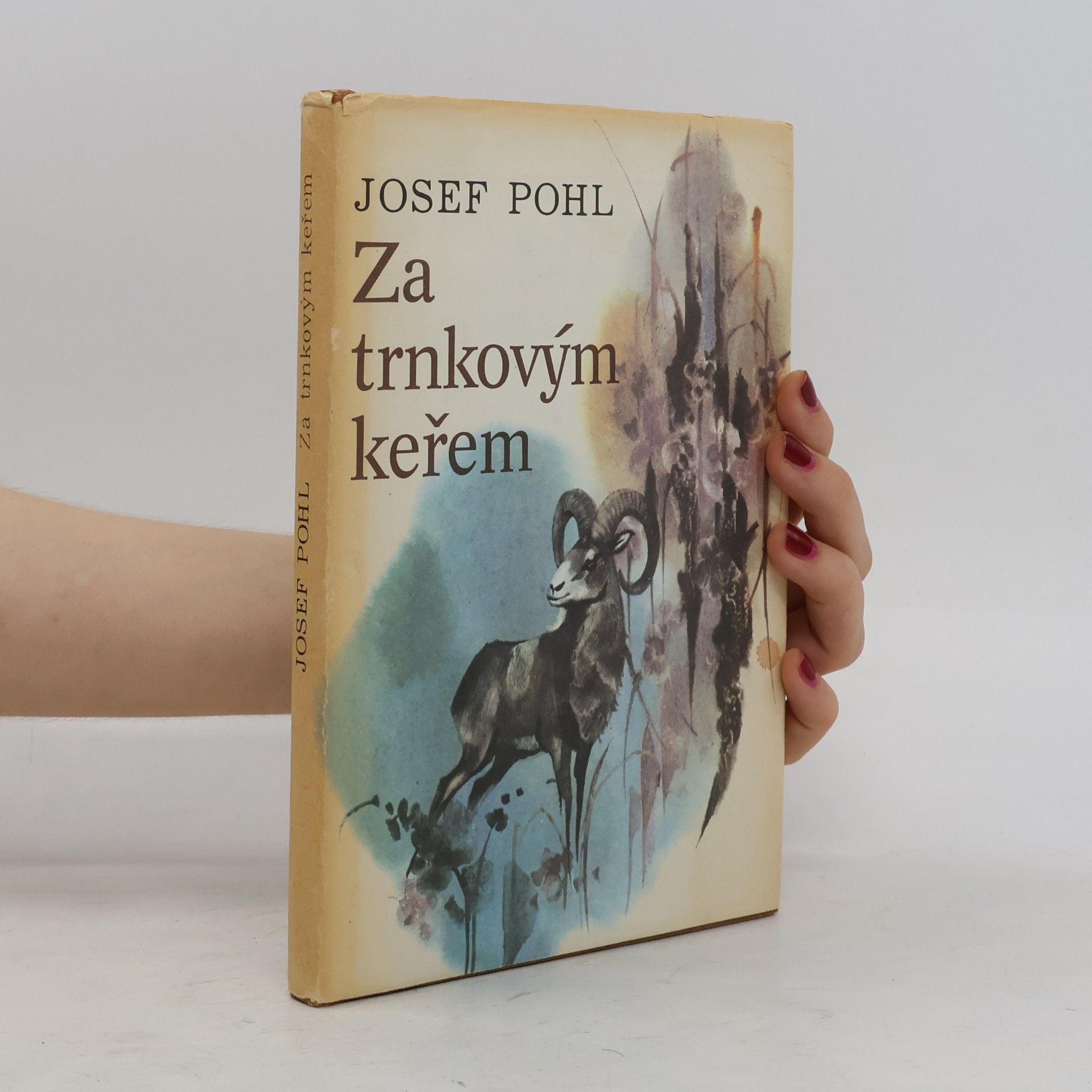 Josef Pohl Za trnkovým keřem