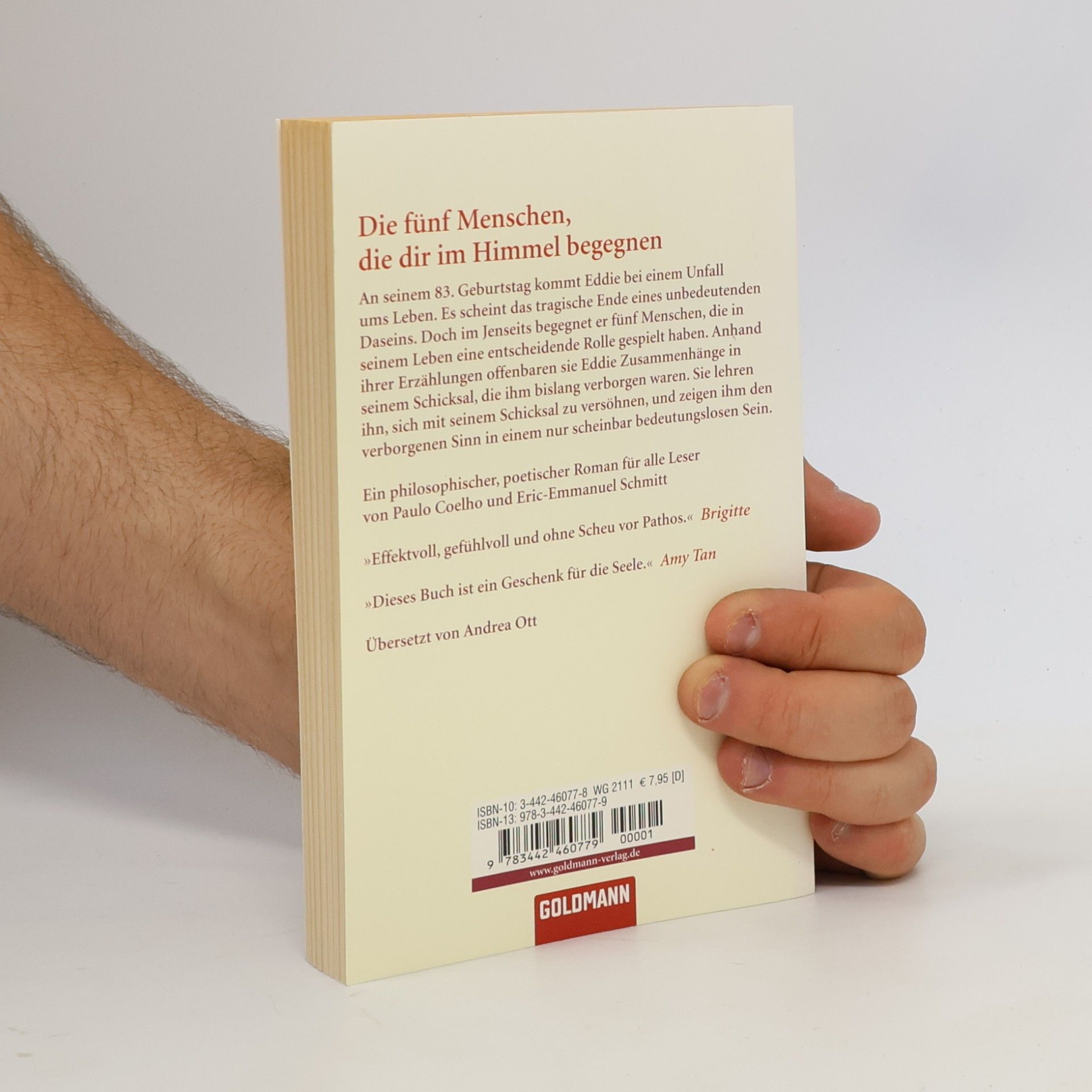 Mitch Albom Die fünf Menschen, die dir im Himmel begegnen