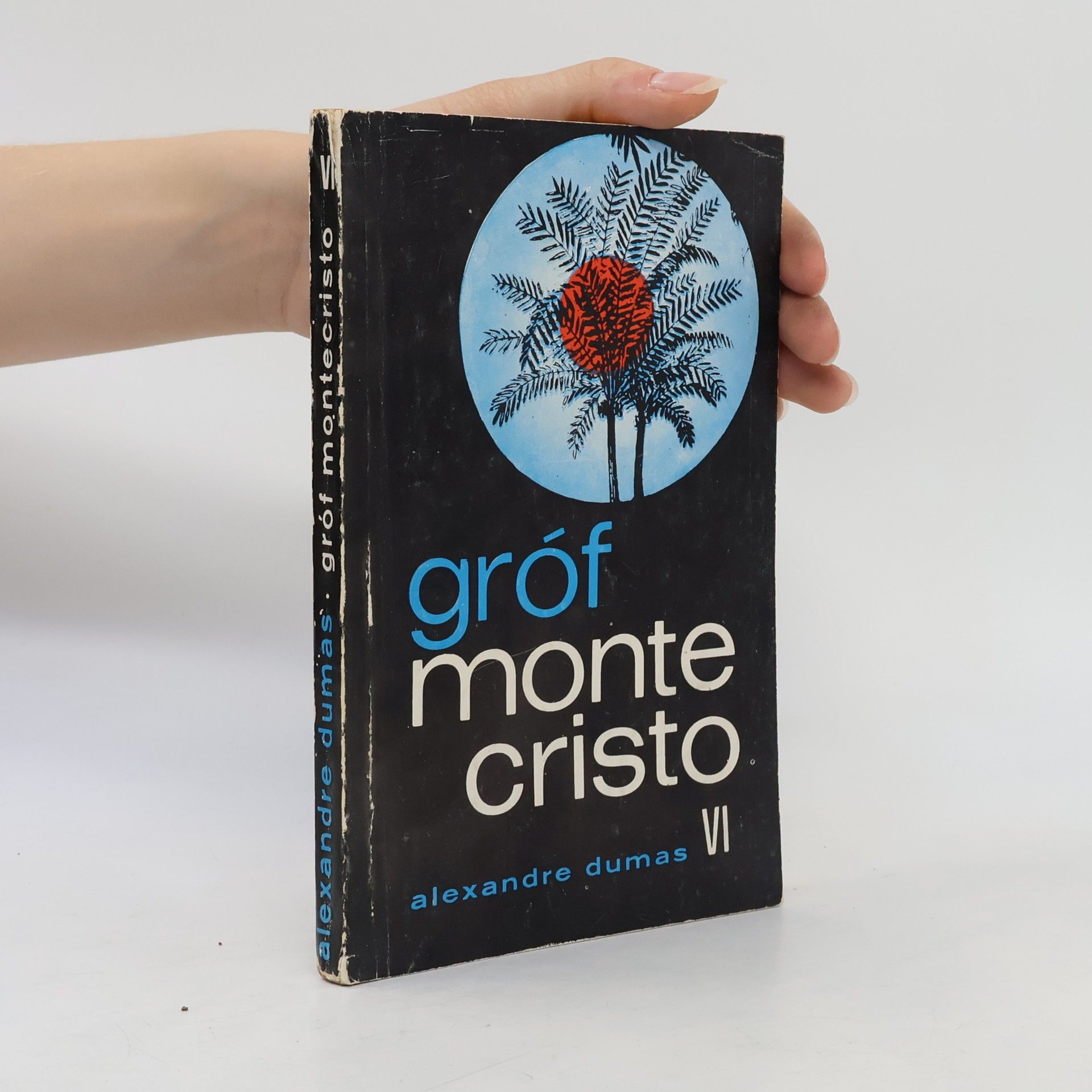 Alexandre Dumas der Ältere Gróf Monte Cristo VI
