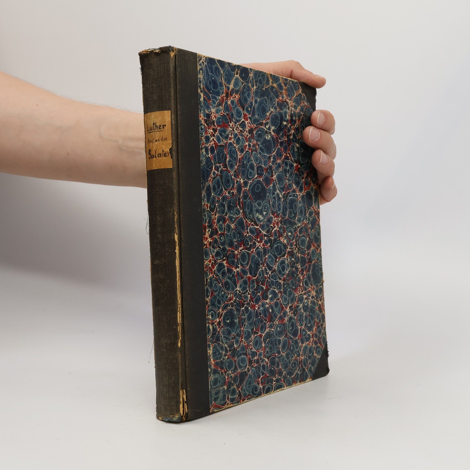 Martin Luther Ausführliche Erklärung des Briefes an die Galater