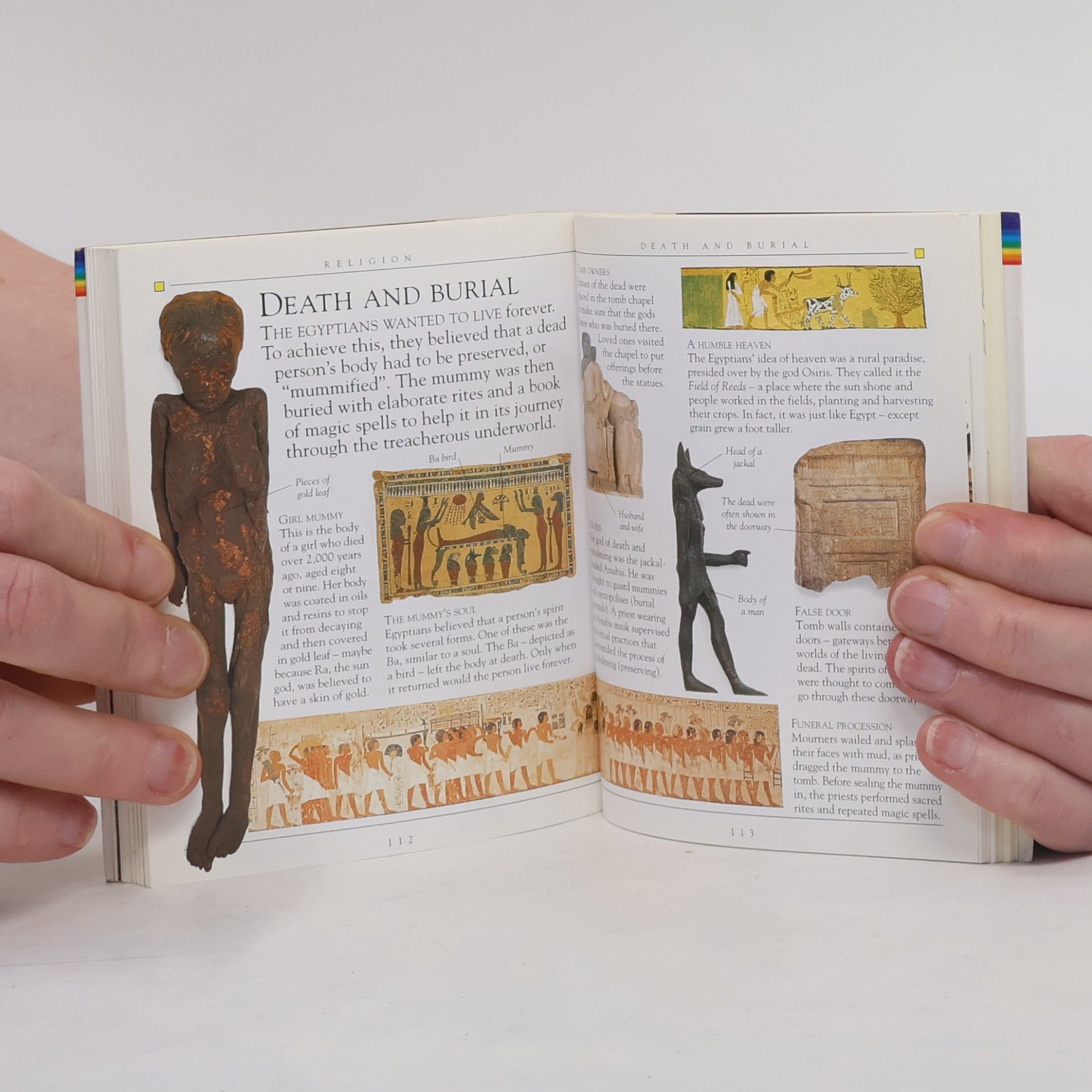 Scott Steedman Ancient Egypt