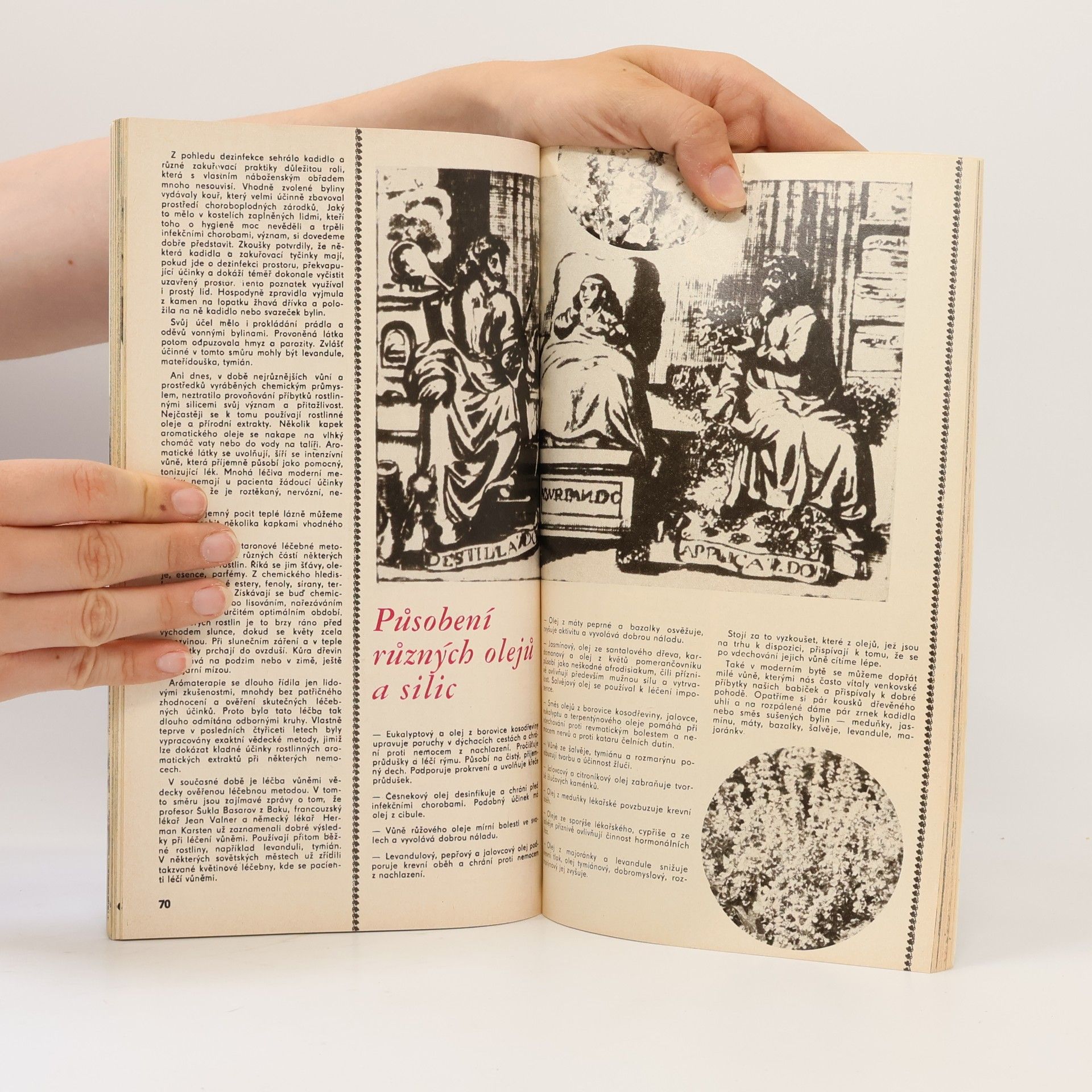 Kolektiv autorů Knihovna květy 69/1987
