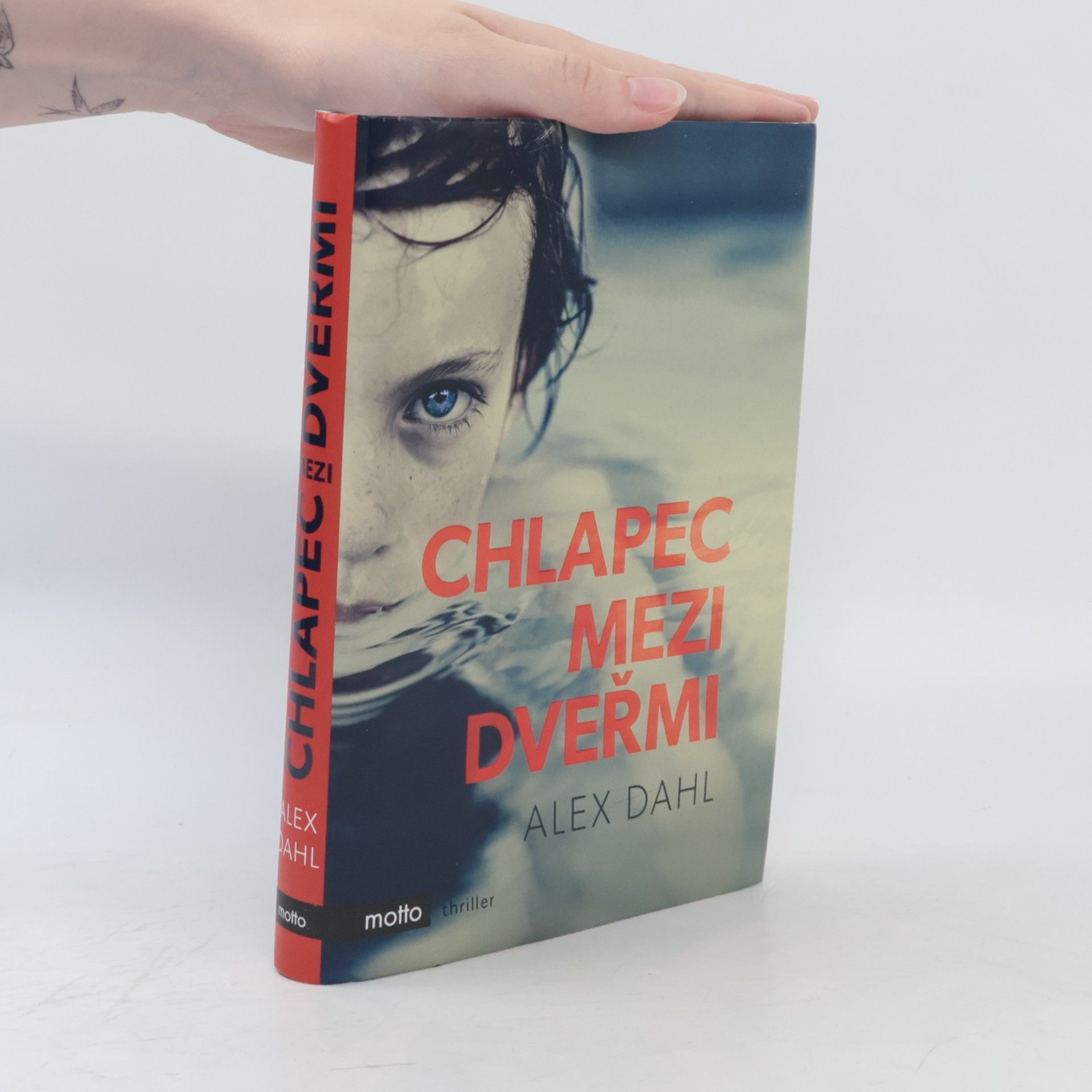 Alex Dahl Chlapec mezi dveřmi