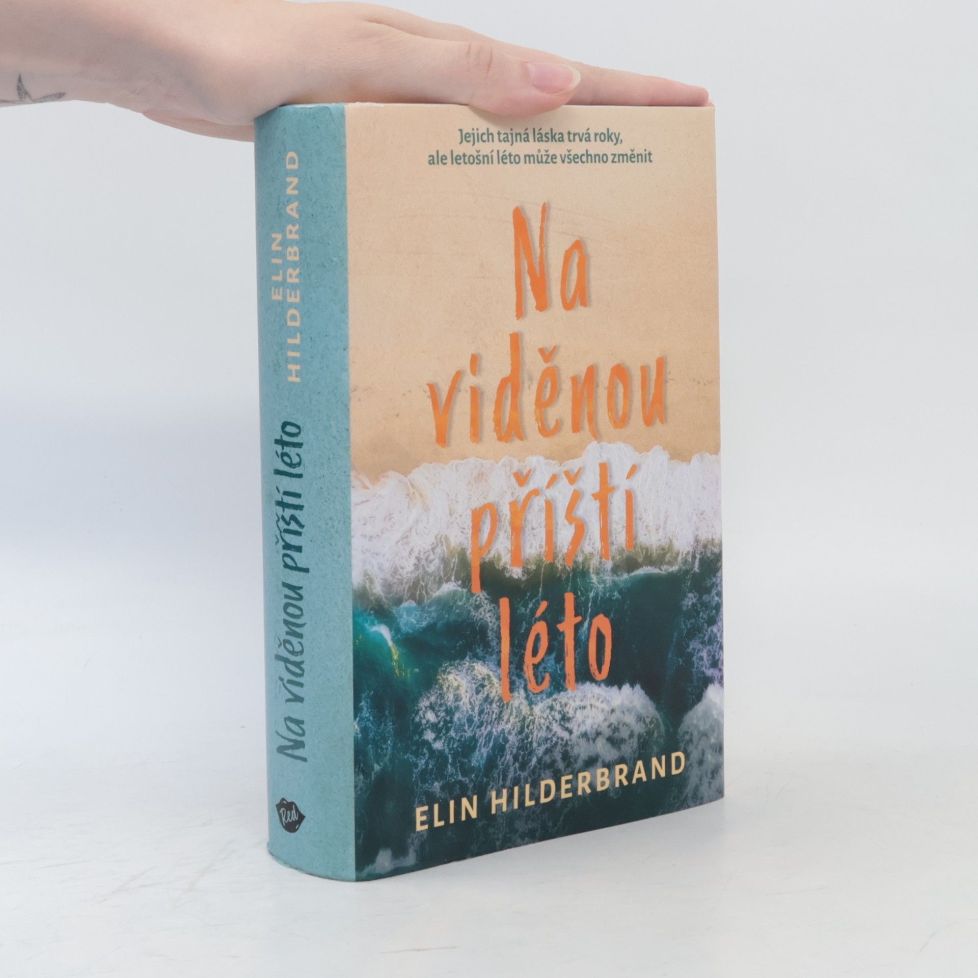 Elin Hilderbrand Na viděnou příští léto