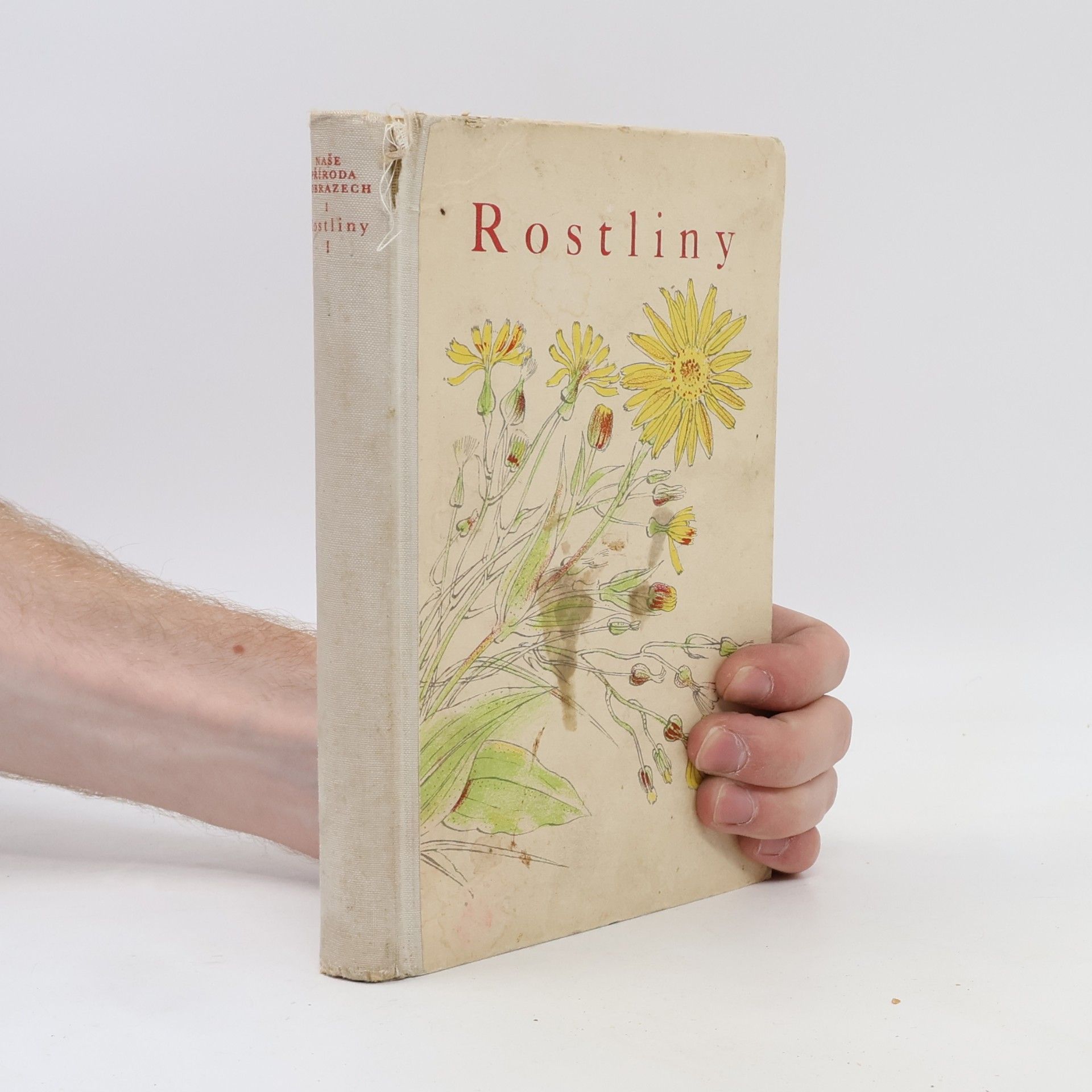 Rostliny I
