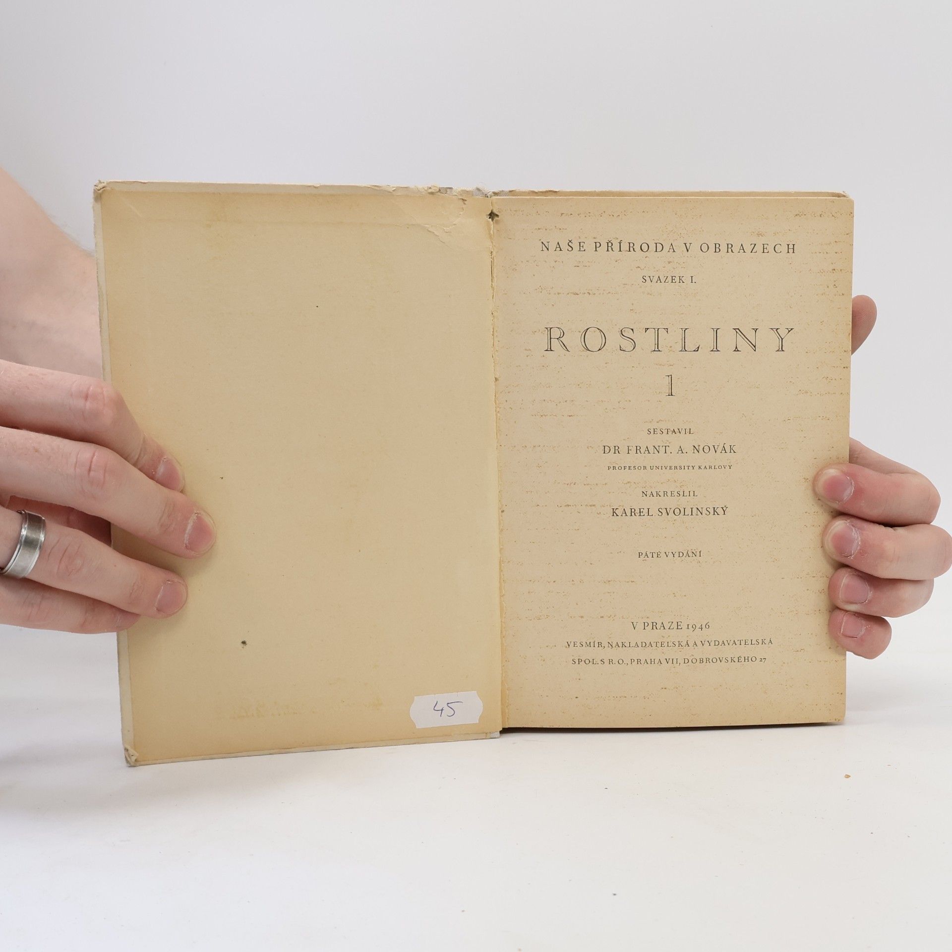 Karel Svolinský Rostliny I