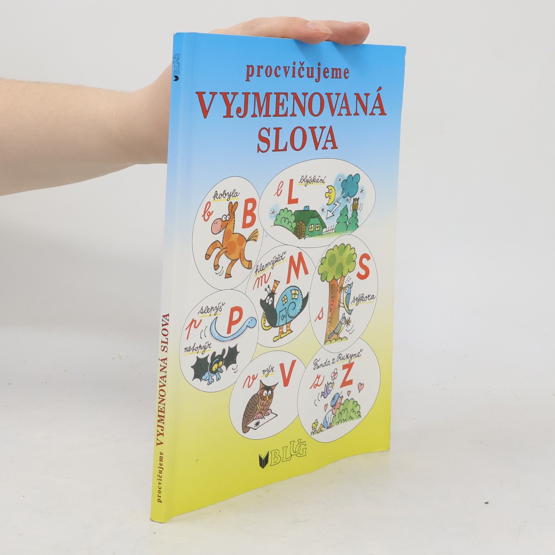 Sklenářová Dana Procvičujeme vyjmenovaná slova - hrajeme si