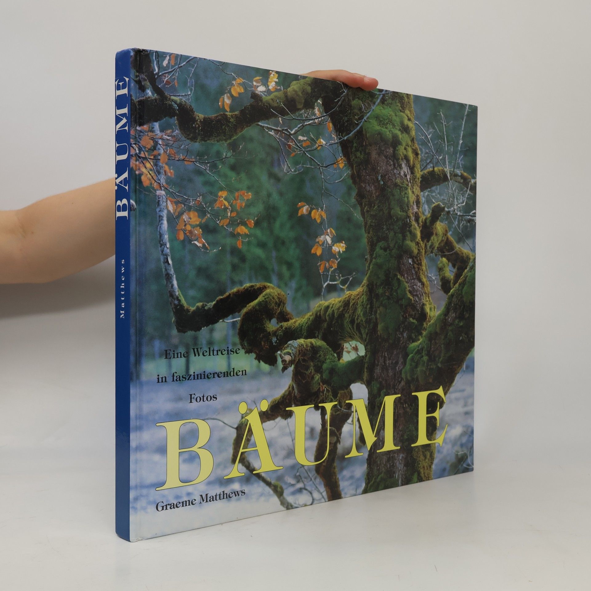 Bäume