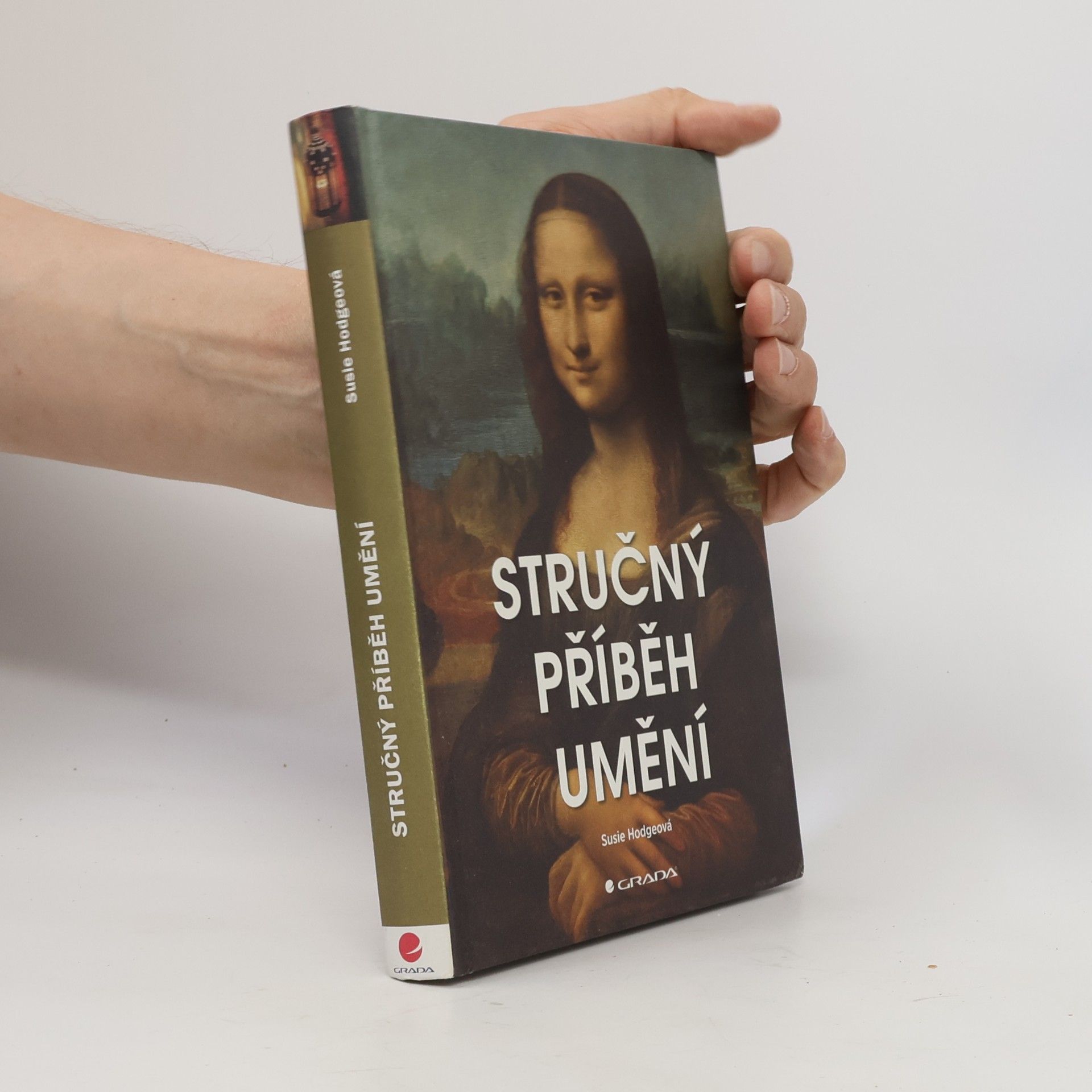 Susie Hodge Stručný příběh umění