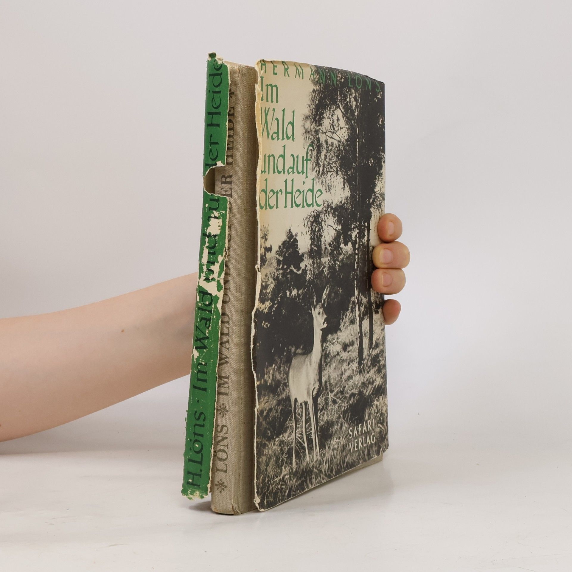 Hermann Löns Im Wald und auf der Heide