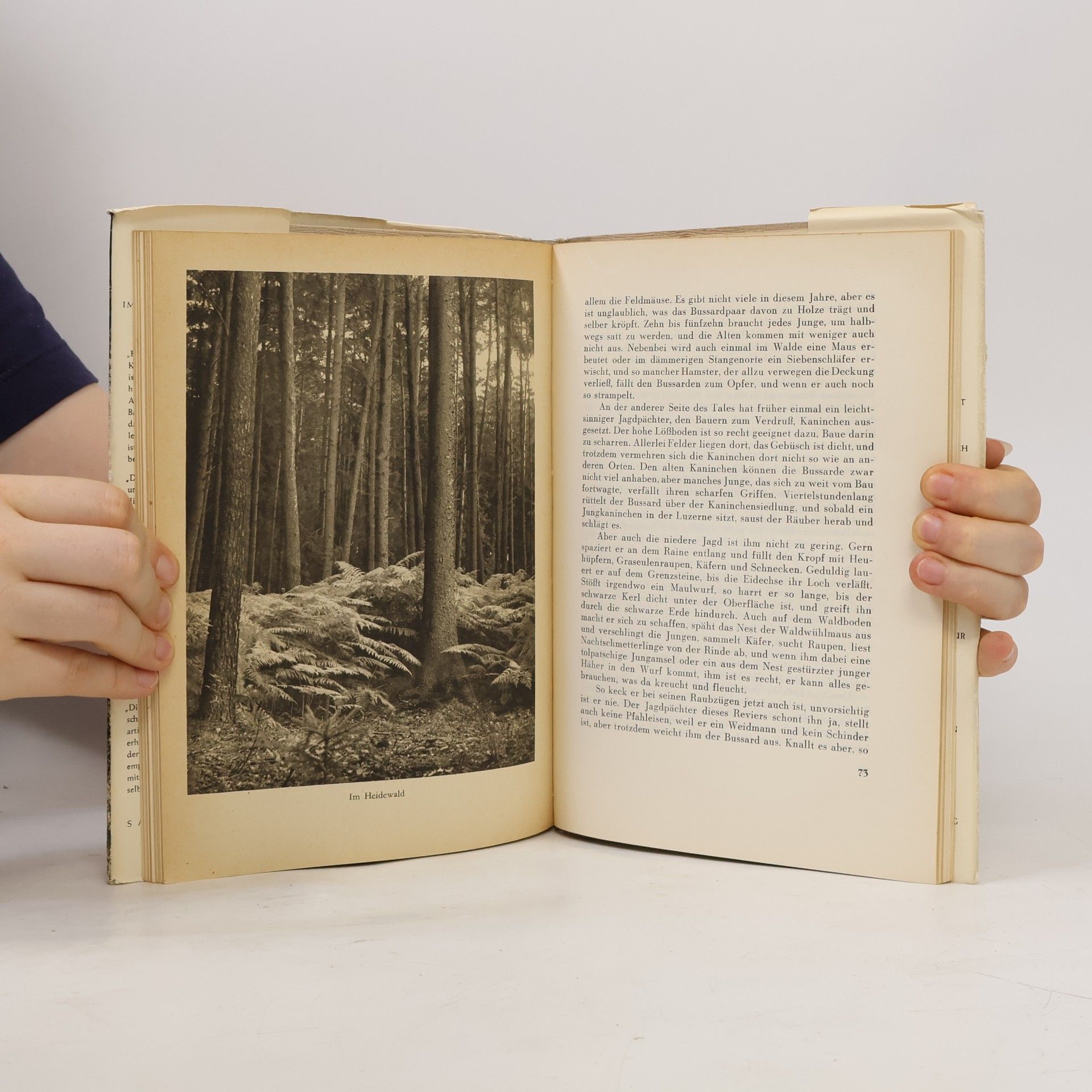 Hermann Löns Im Wald und auf der Heide