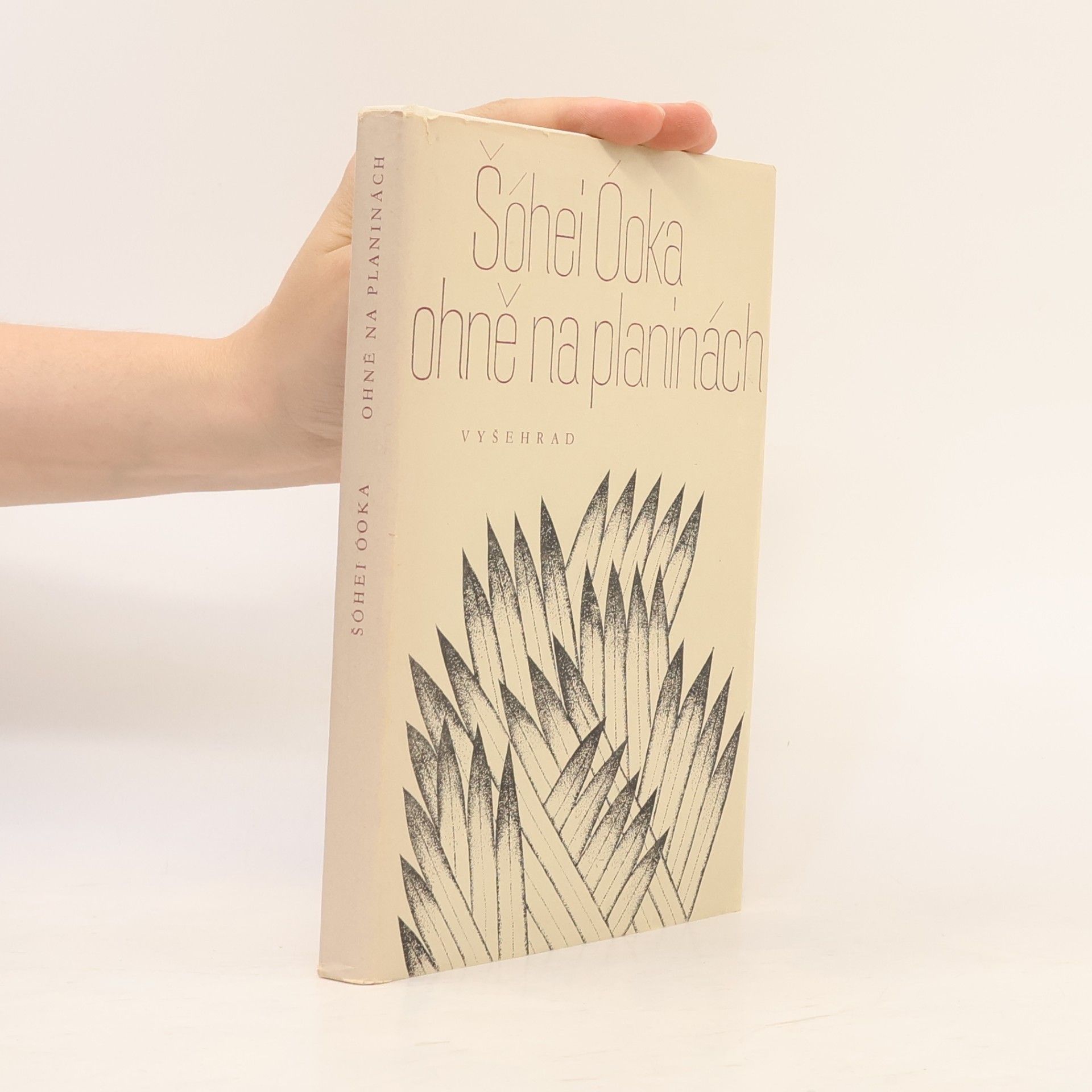 Shōhei Ōoka Ohně na planinách