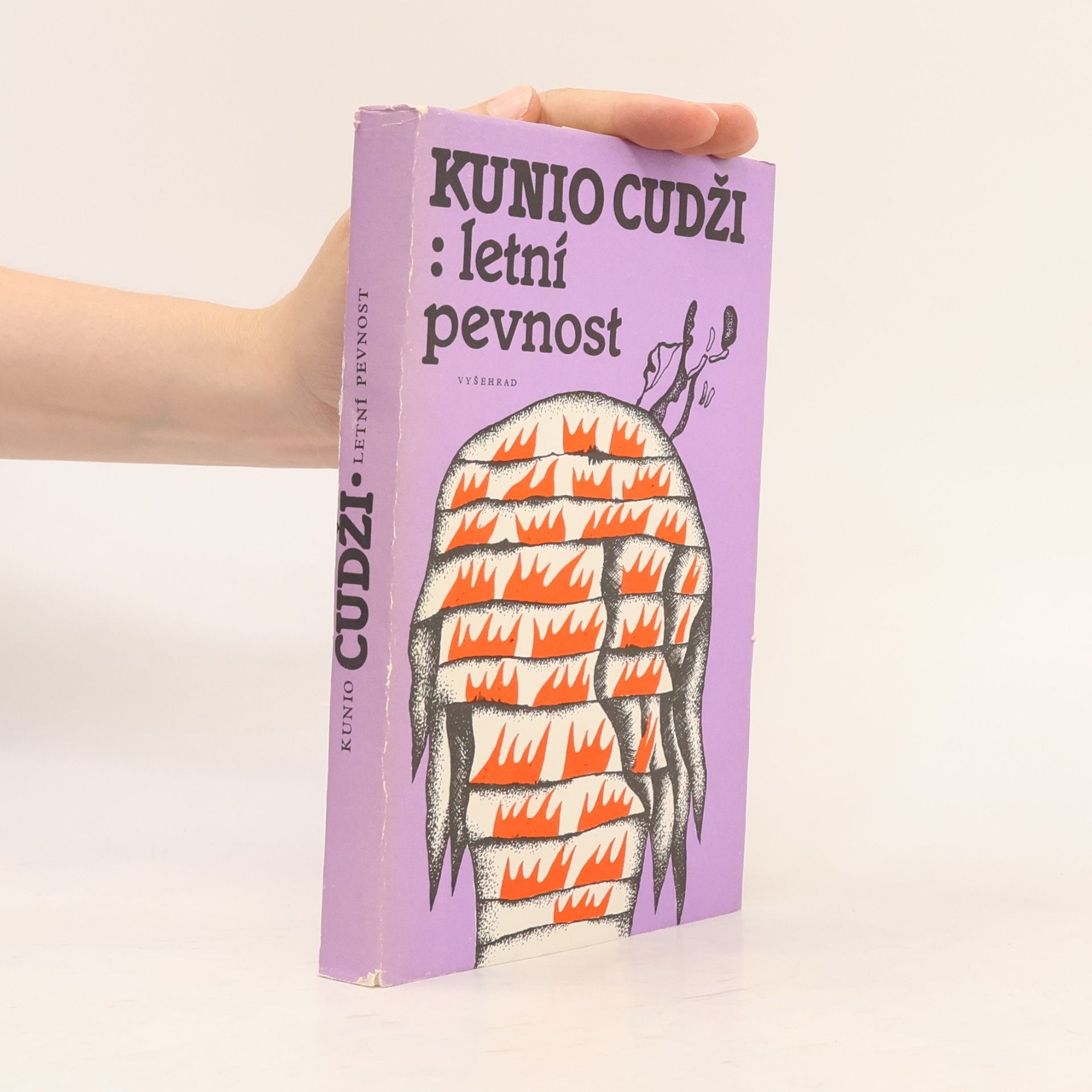 Kunio Cudži Letní pevnost