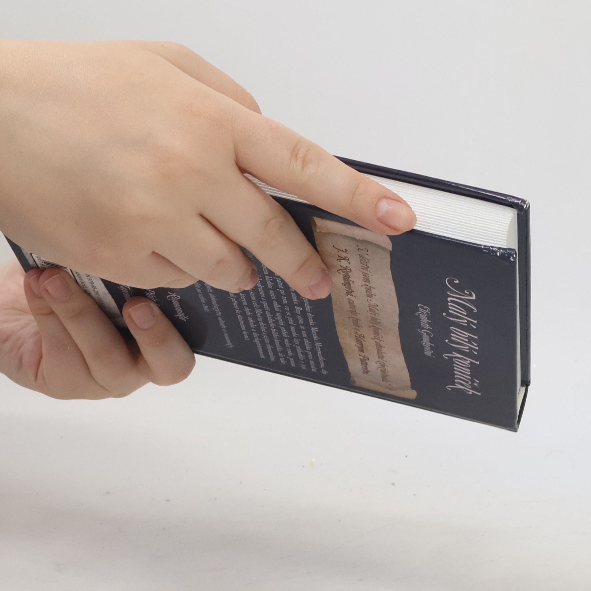 Elizabeth Goudge Malý bílý koníček