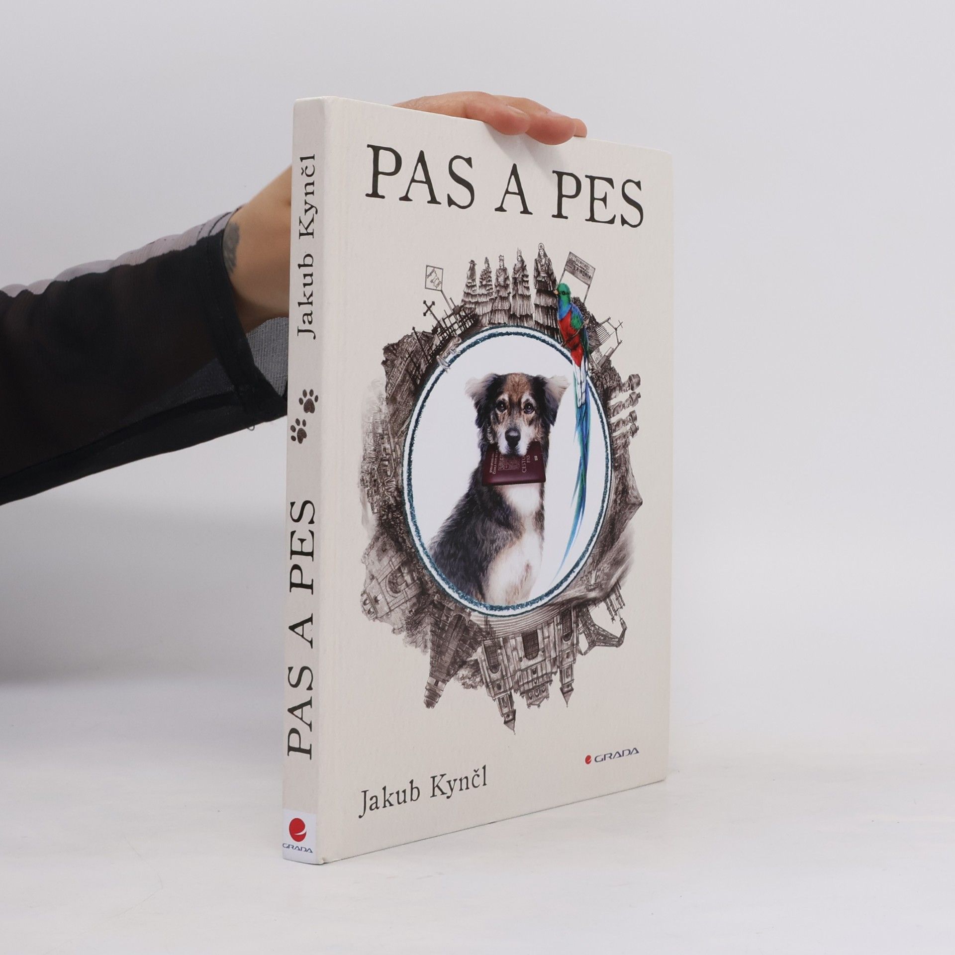 Pas a pes