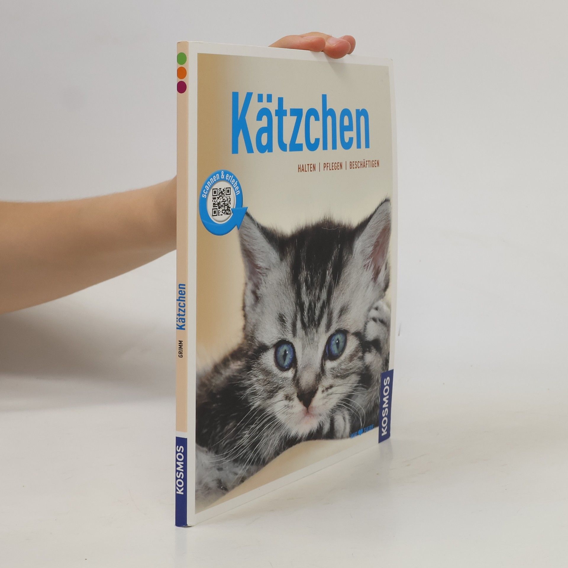 Kätzchen