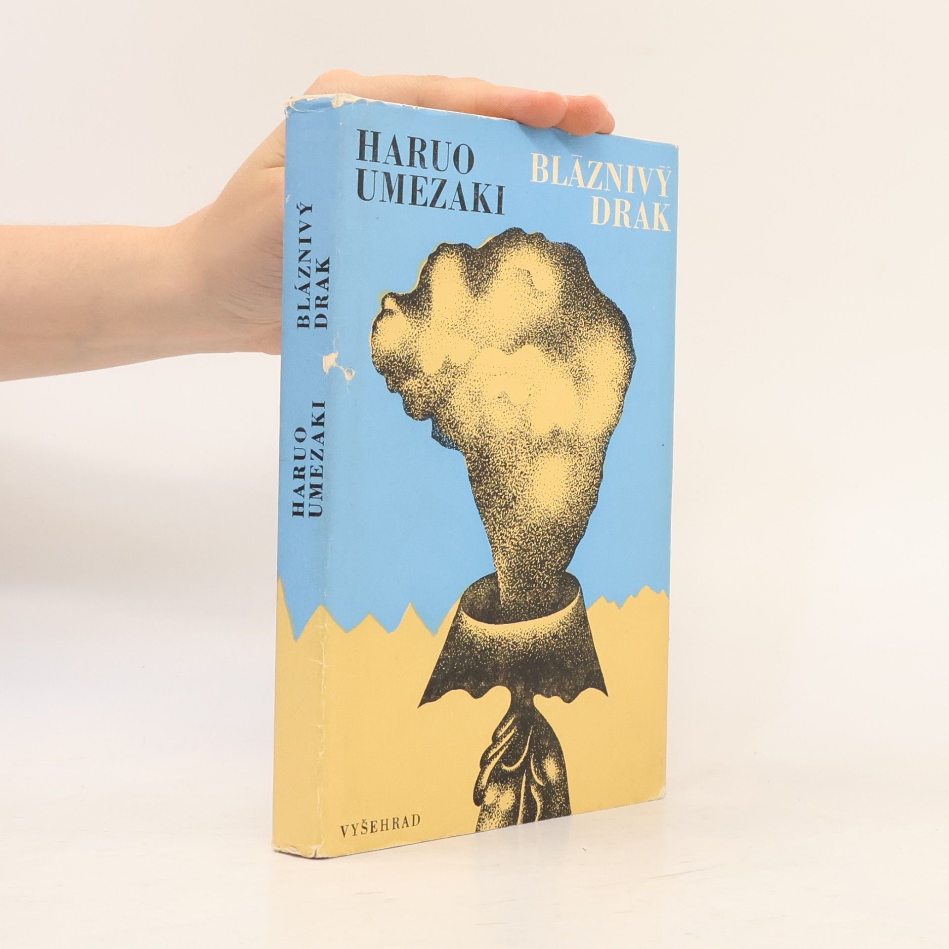 Haruo Umezaki Bláznivý drak
