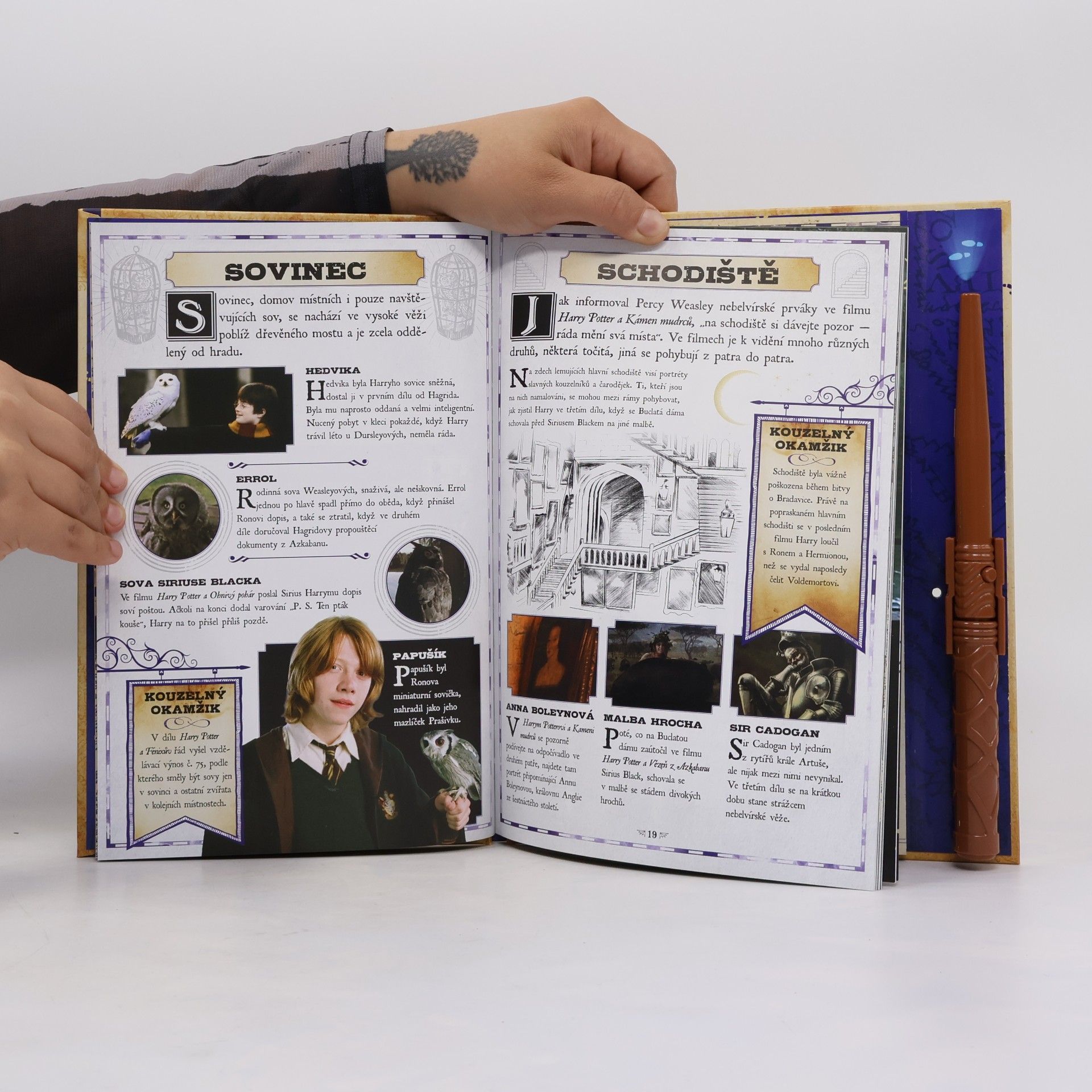Erinn Pascal Harry Potter: Pobertův plánek