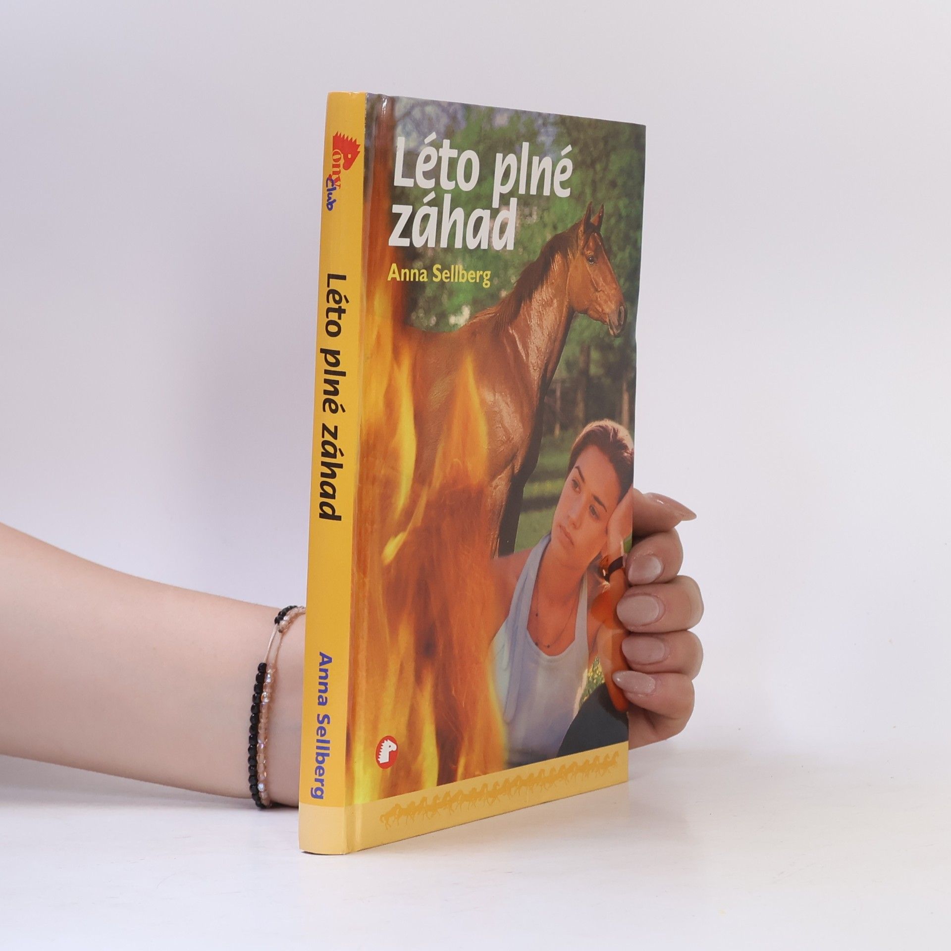 Anna Sellberg Léto plné záhad