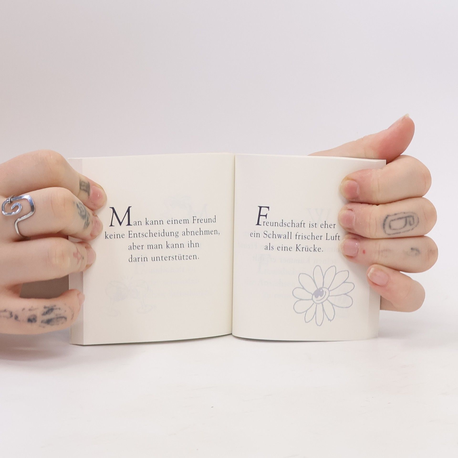 Liane Beaurepaire Das kleine Buch der Freundschaft