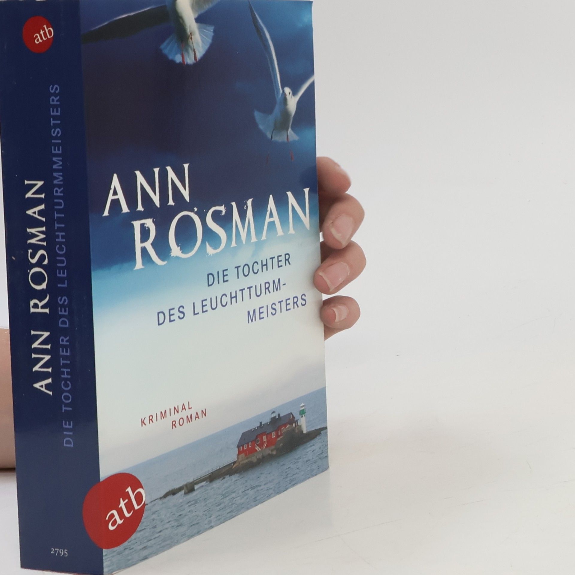 Ann Rosman Die Tochter des Leuchtturmmeisters