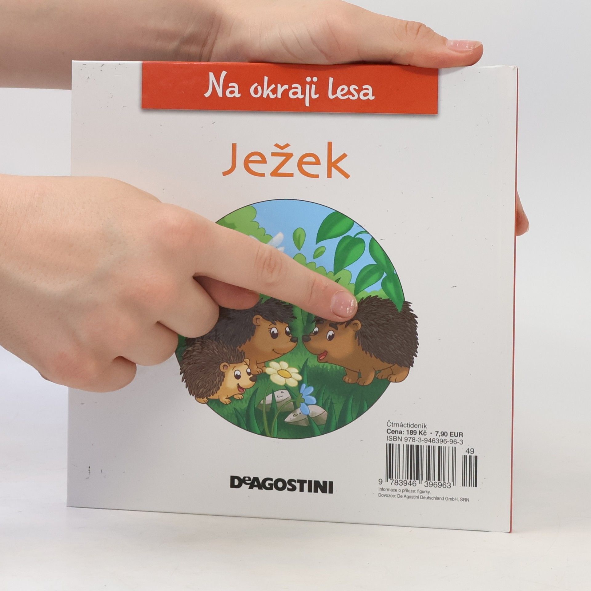 Collectif d'auteurs Na kraji lesa 8. Ježek