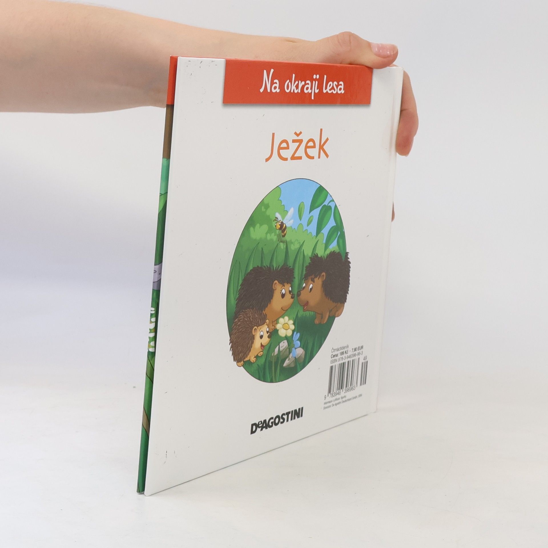 Collectif d'auteurs Na kraji lesa 8. Ježek