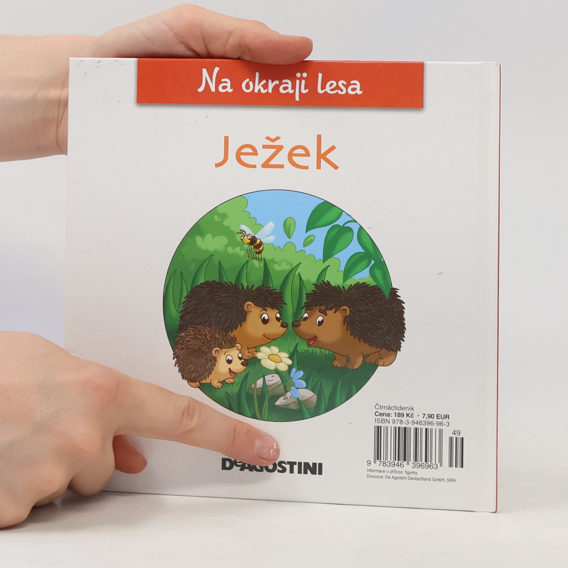 Collectif d'auteurs Na kraji lesa 8. Ježek