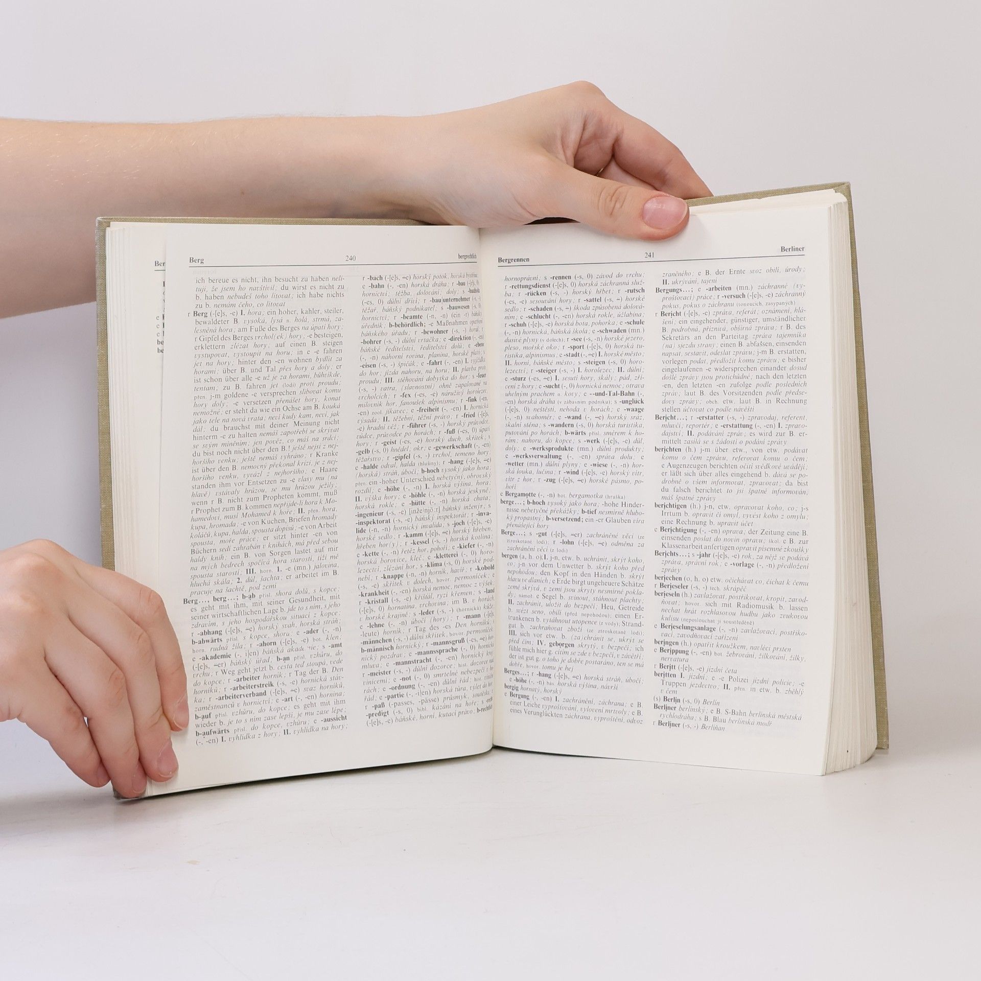 Autorenkollektiv Německo-český slovník I. A-L
